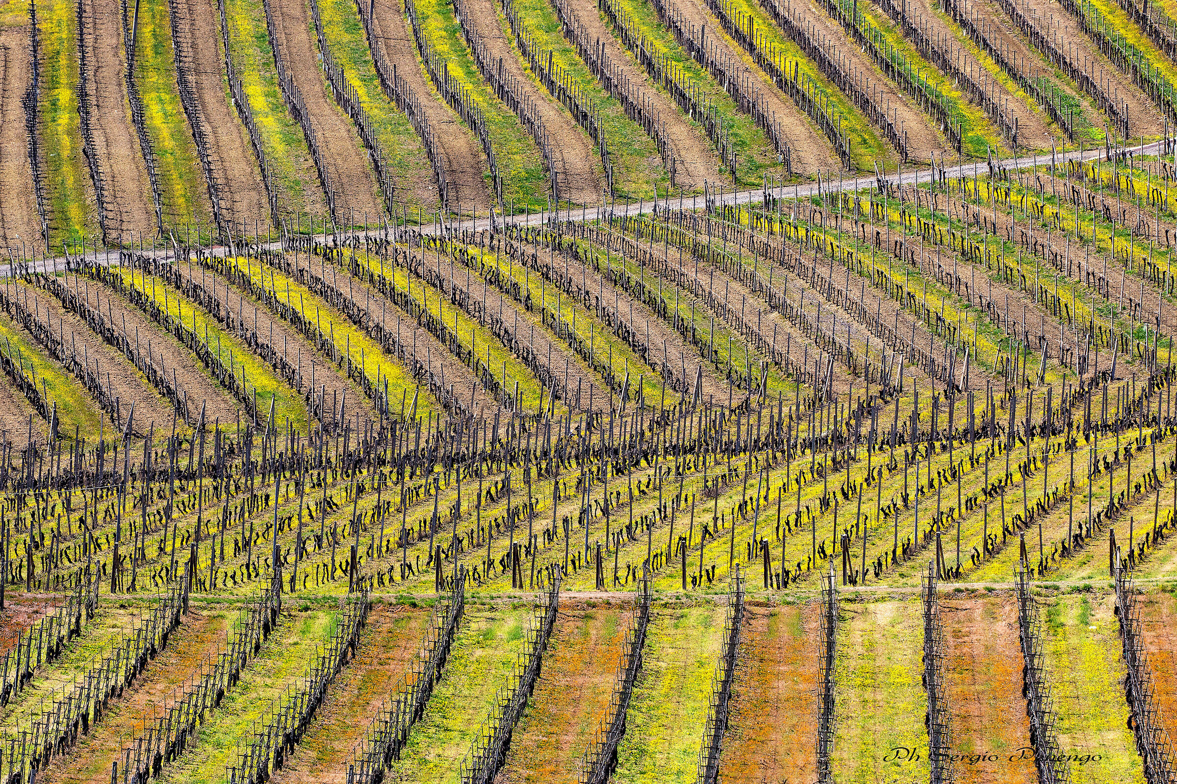 "Geometrie di Primavera"