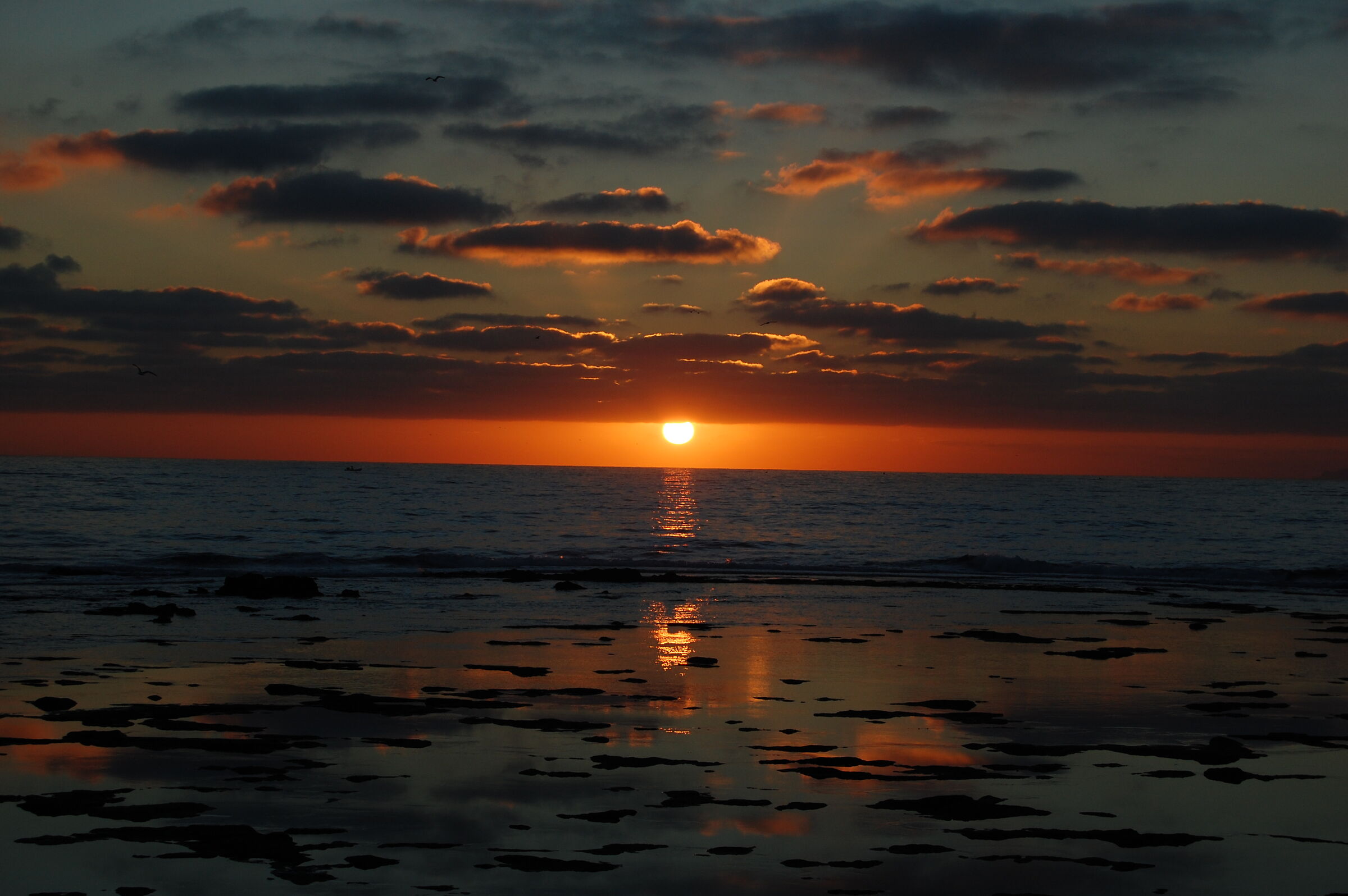 tramonti A LIVORNO-3