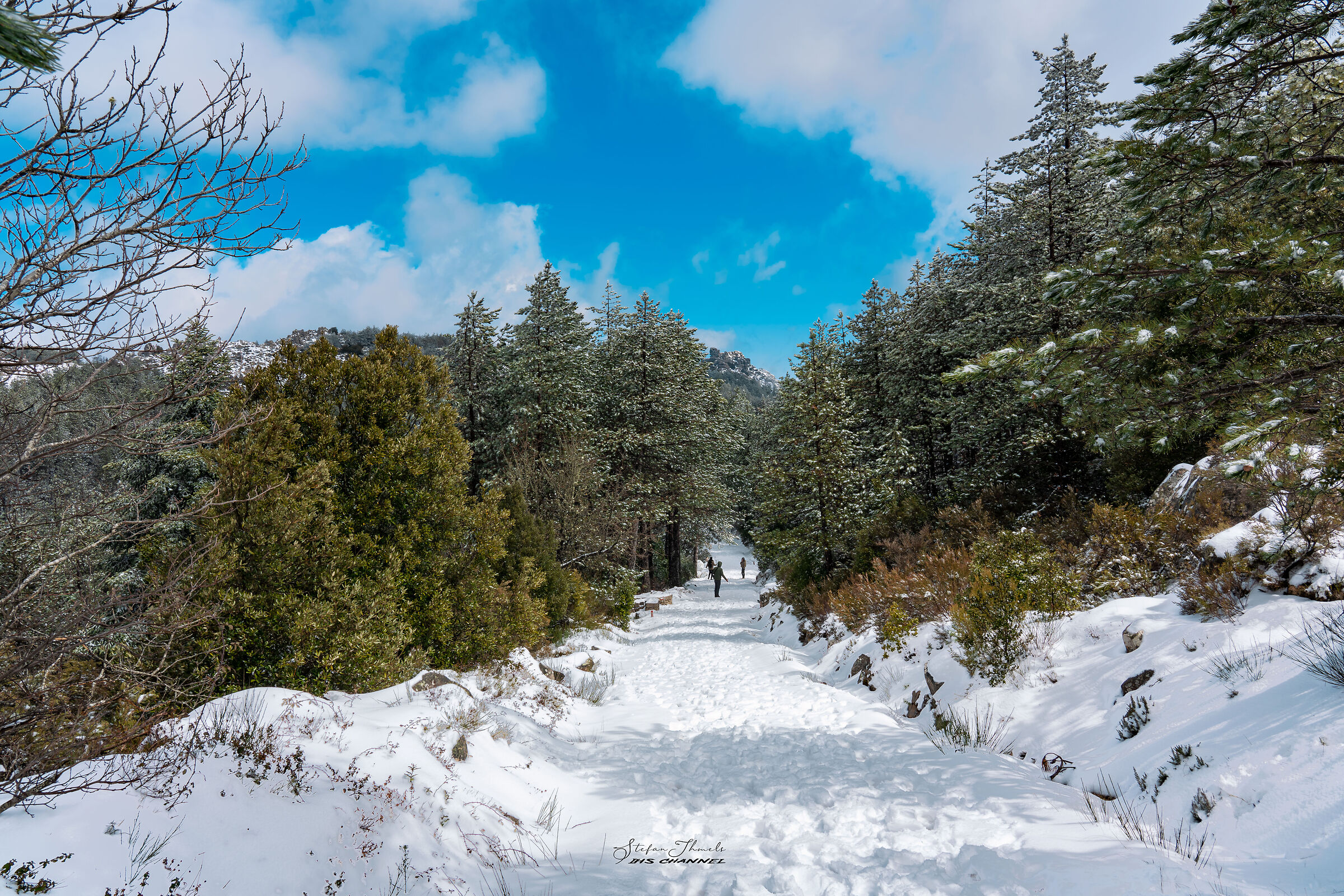 Neve ad Aprile sul Monte Limbara in Sardegna