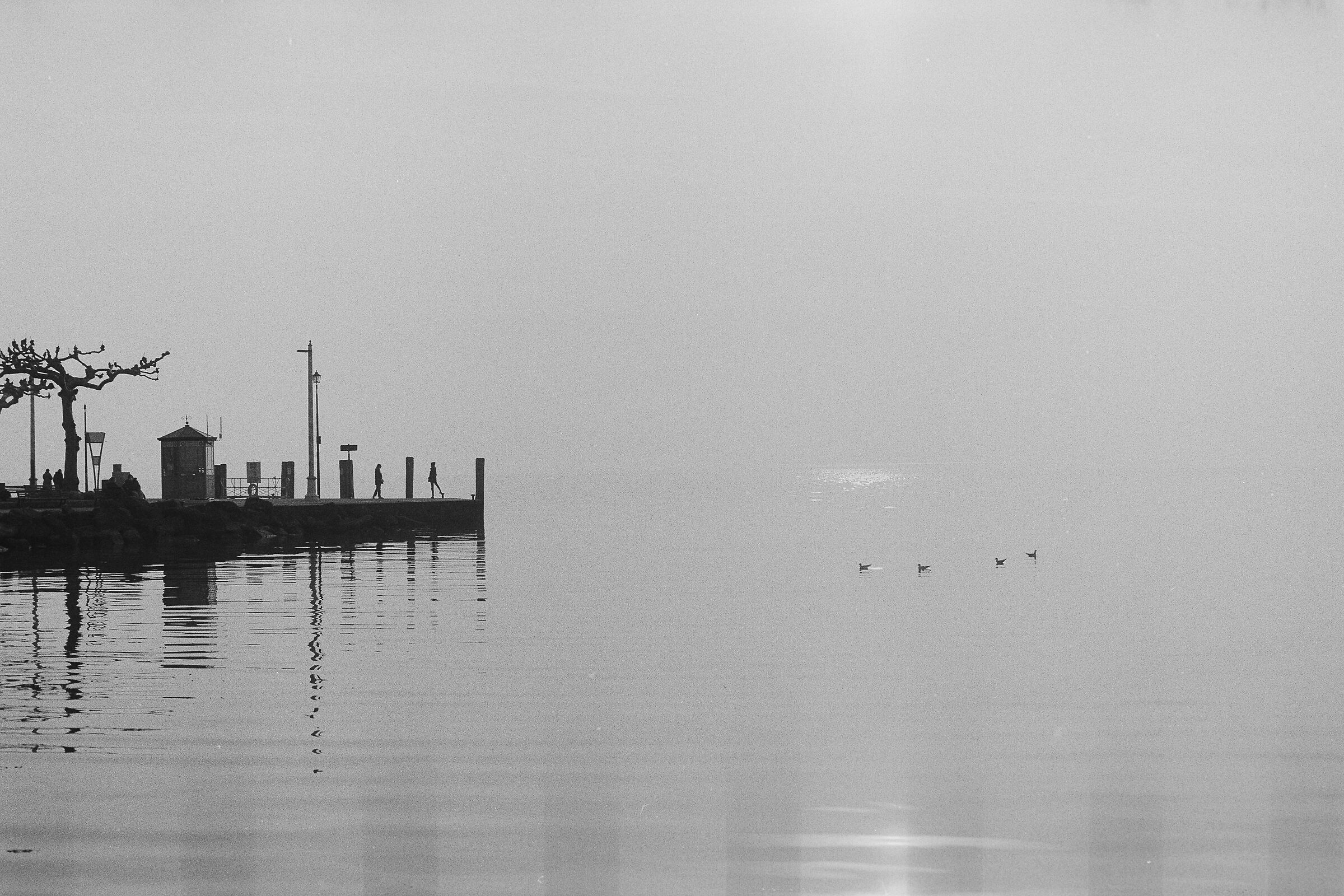 Lago di Garda, Olympus OM4+Kentmere 400, ID11