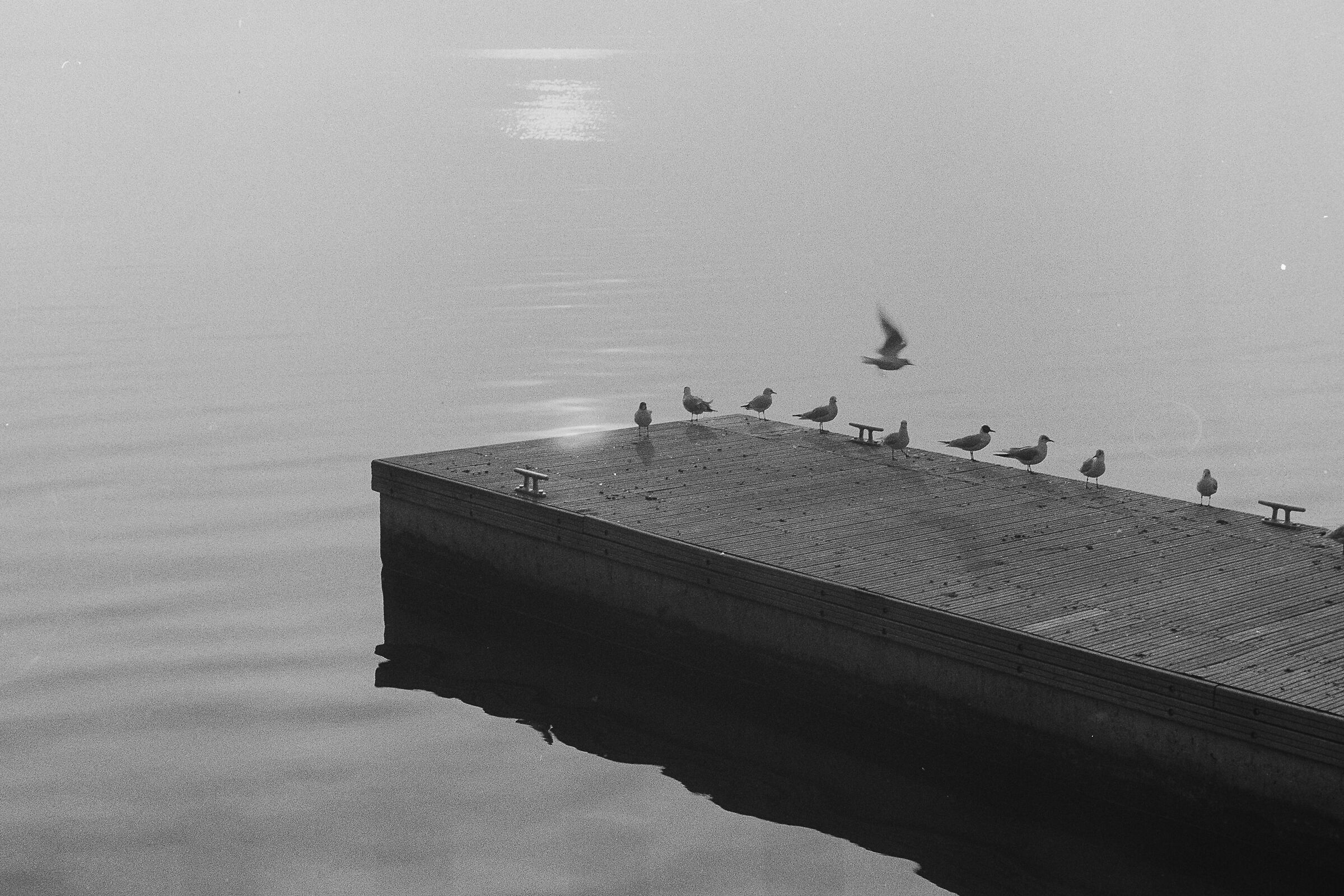 Lago di Garda, Olympus OM4+Kentmere 400, ID11