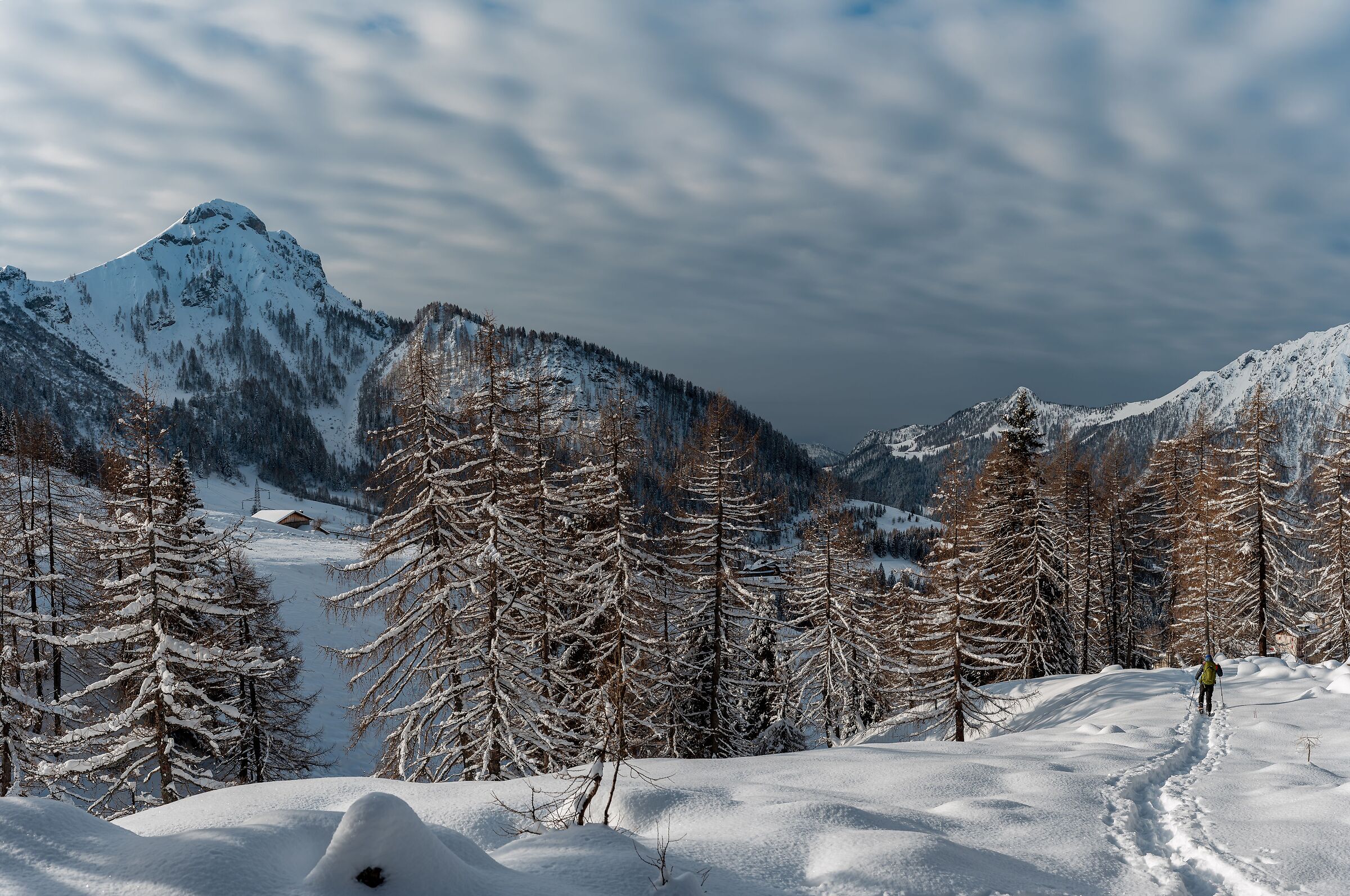 Di ritorno per colazione.