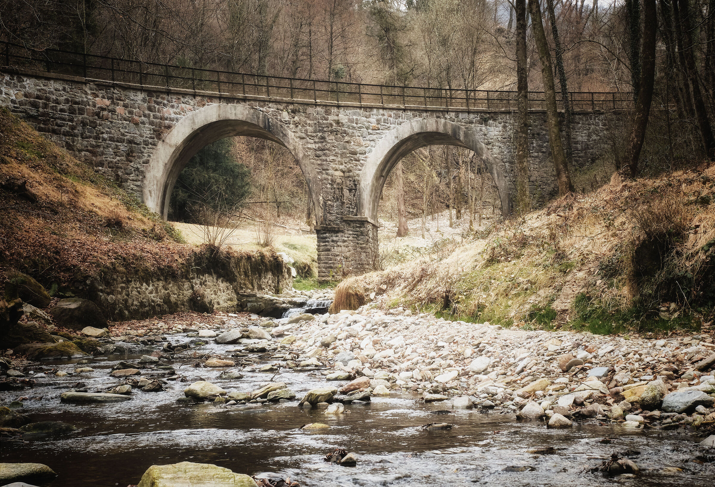 Parco dell'Argentera
