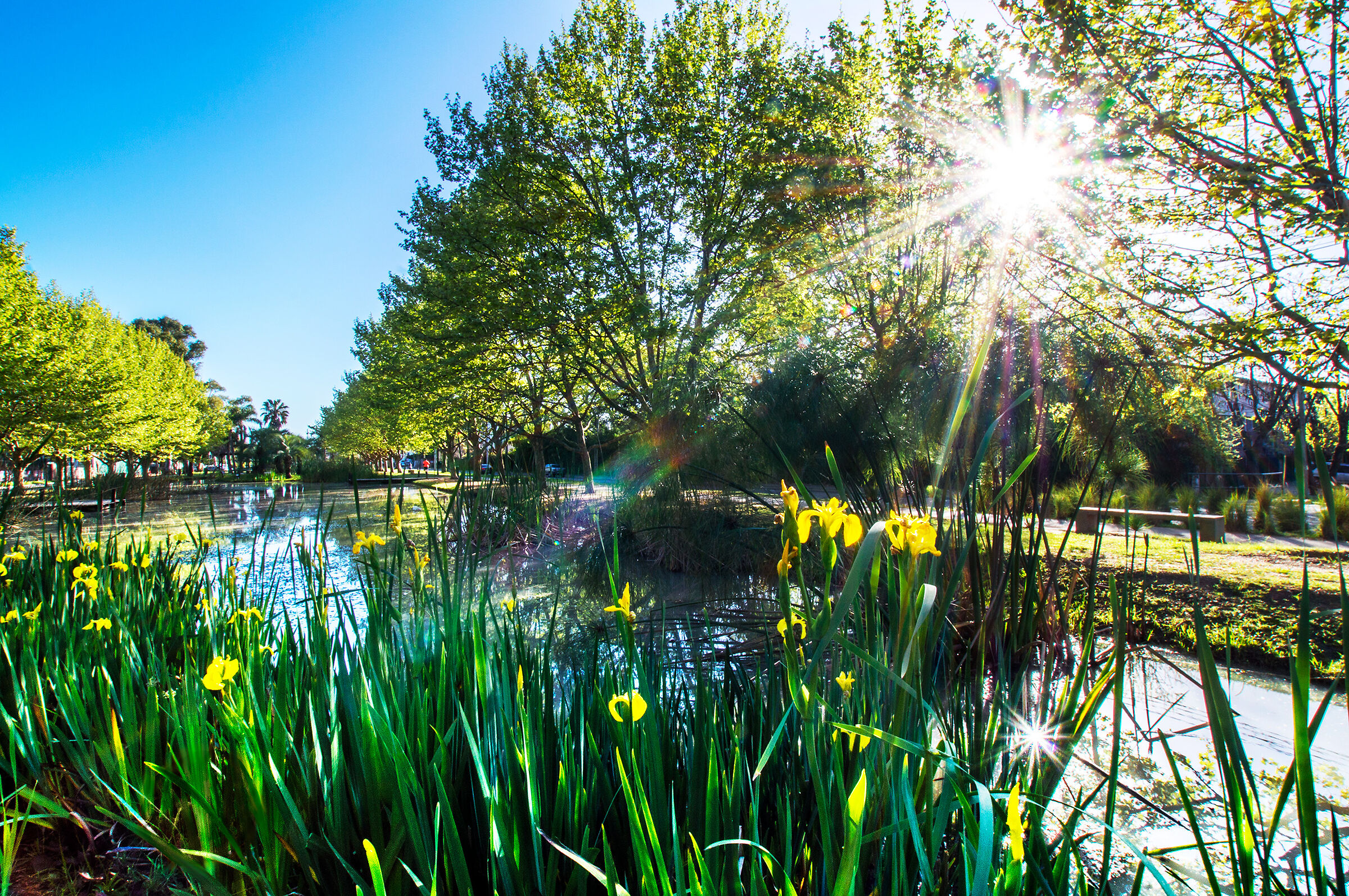 Bagnato dal sole del mattino