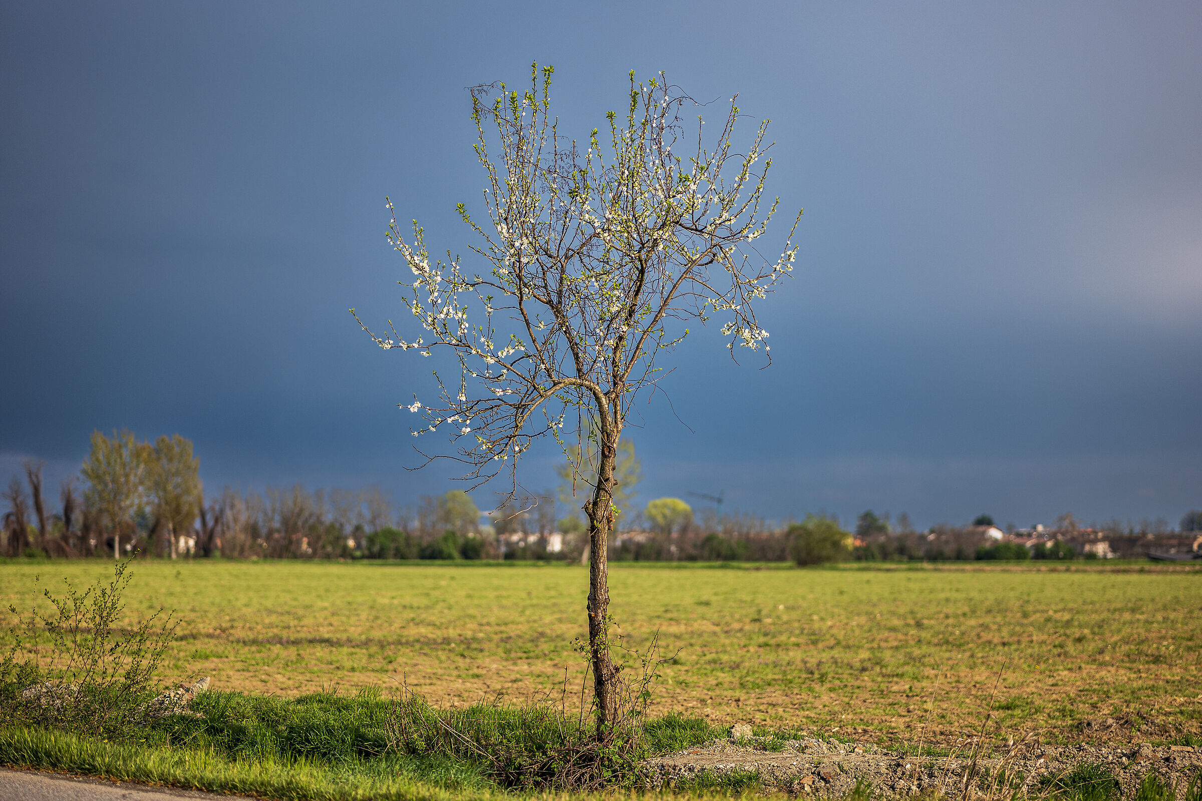 aprile