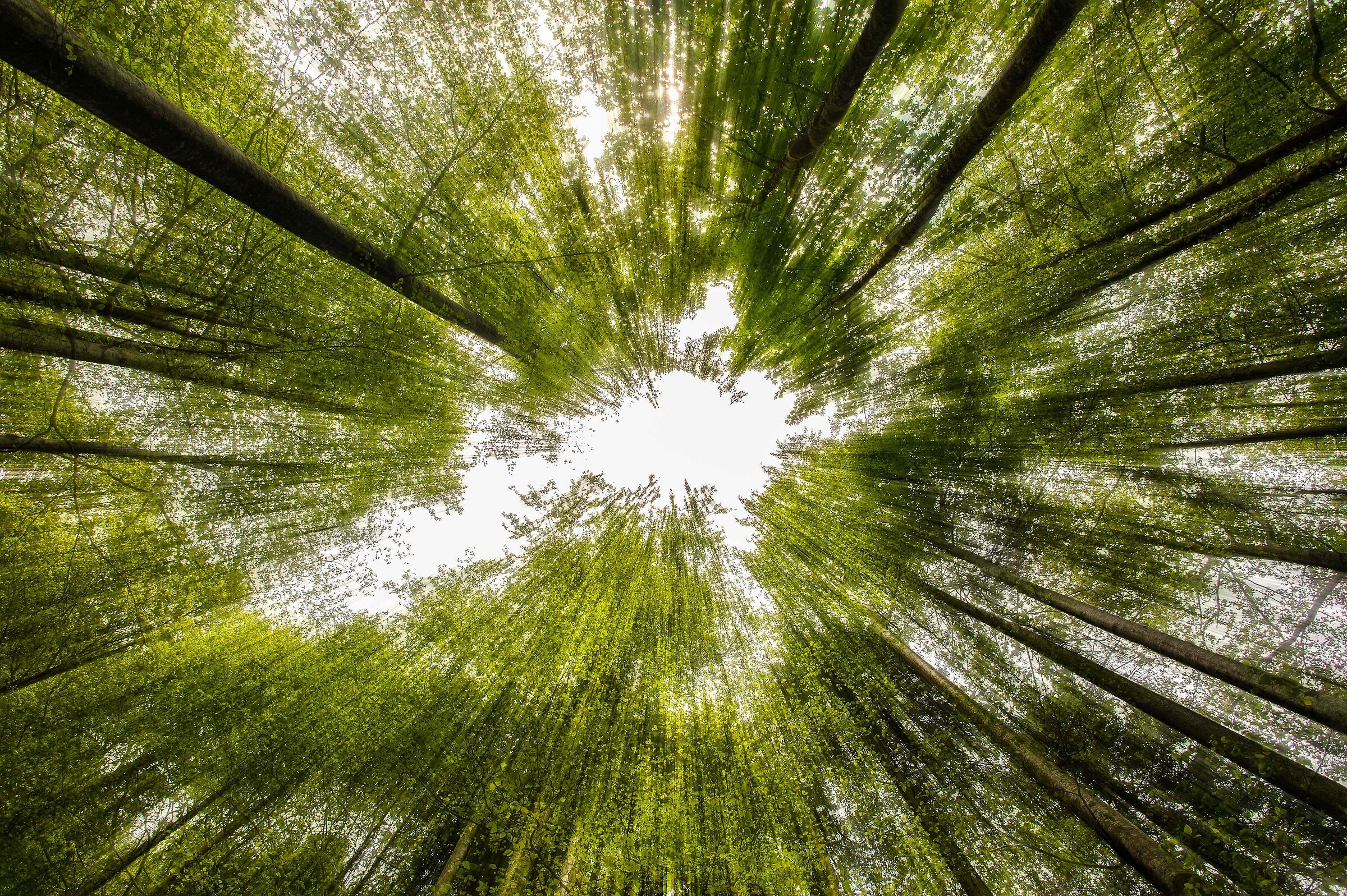 a classic from below