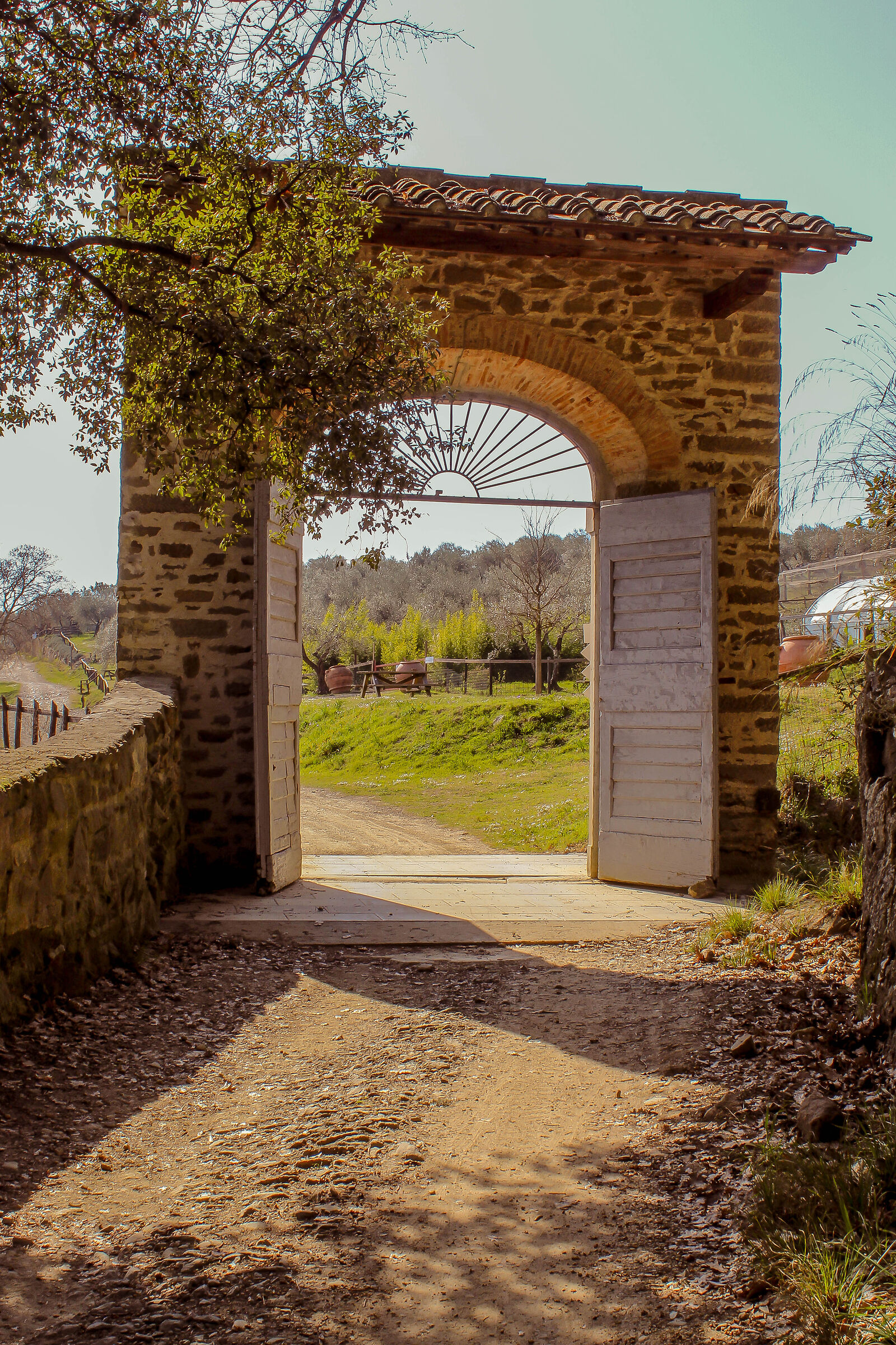 Fattoria di Maiano - fiesole-