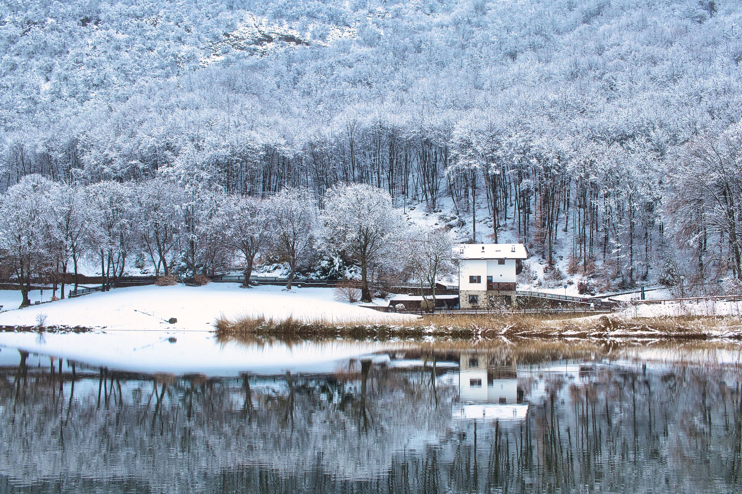 Lago di Lagolo - Inverno
