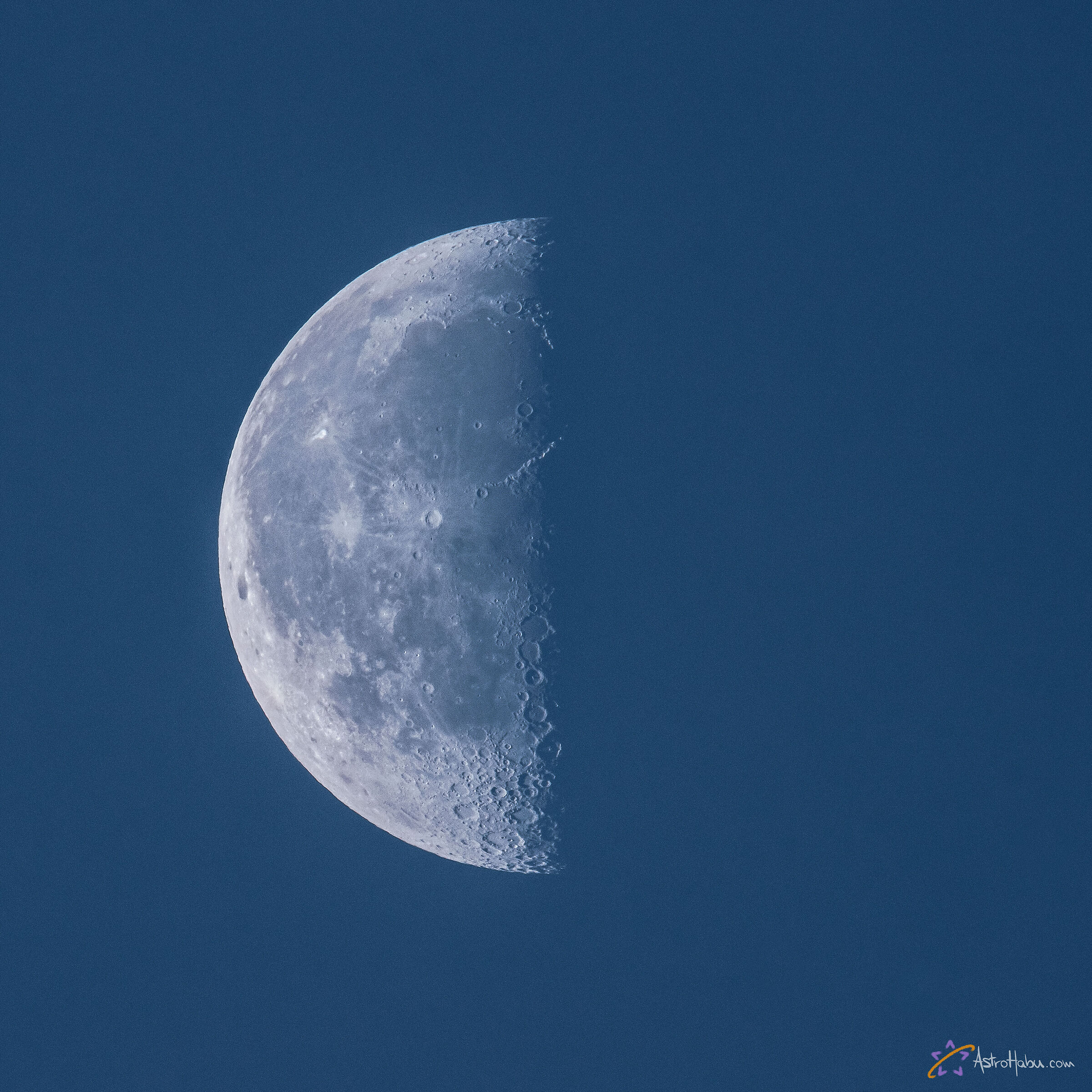 A perfect 50% waning Moon in the soft light of dawn