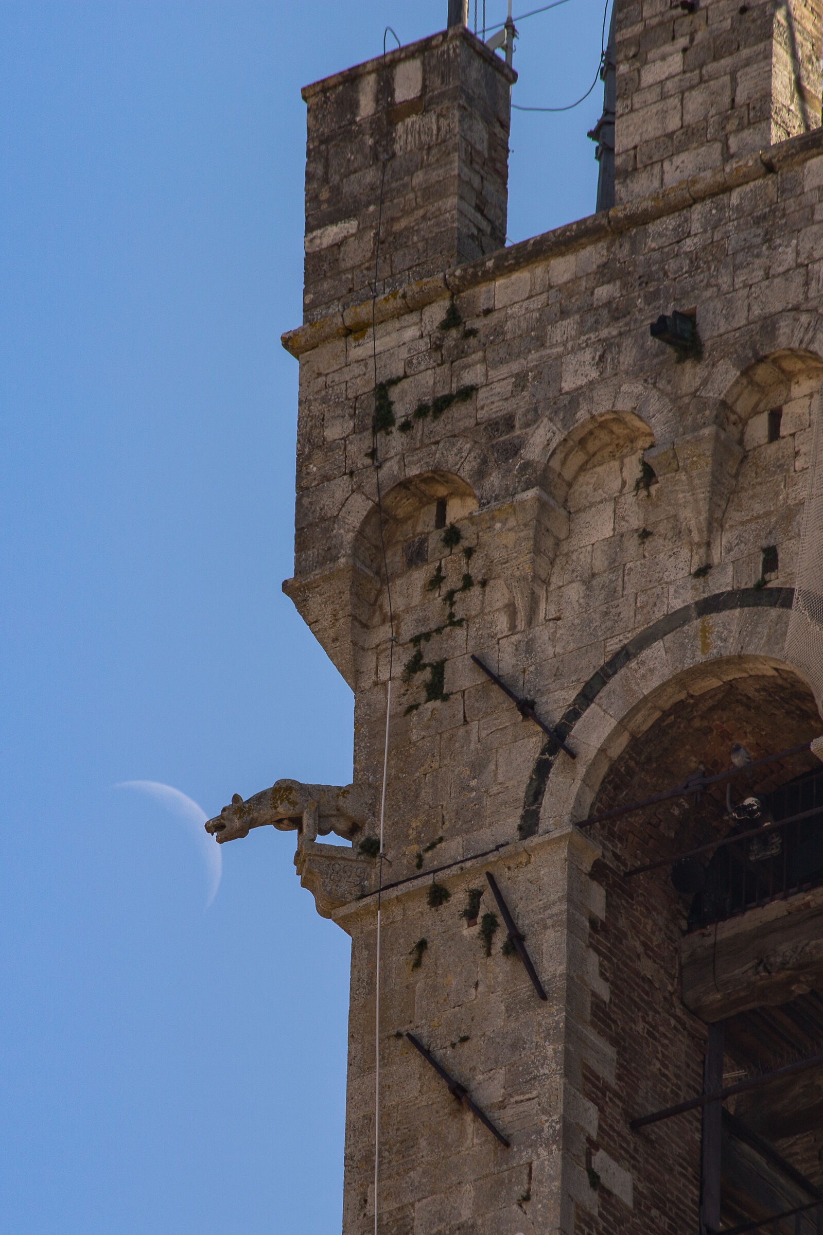 La lupa, la torre del Mangia e la luna