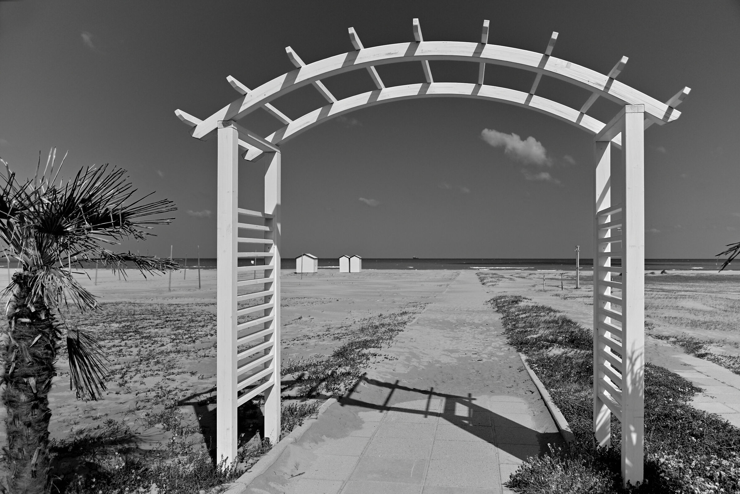 Invitation to the sea