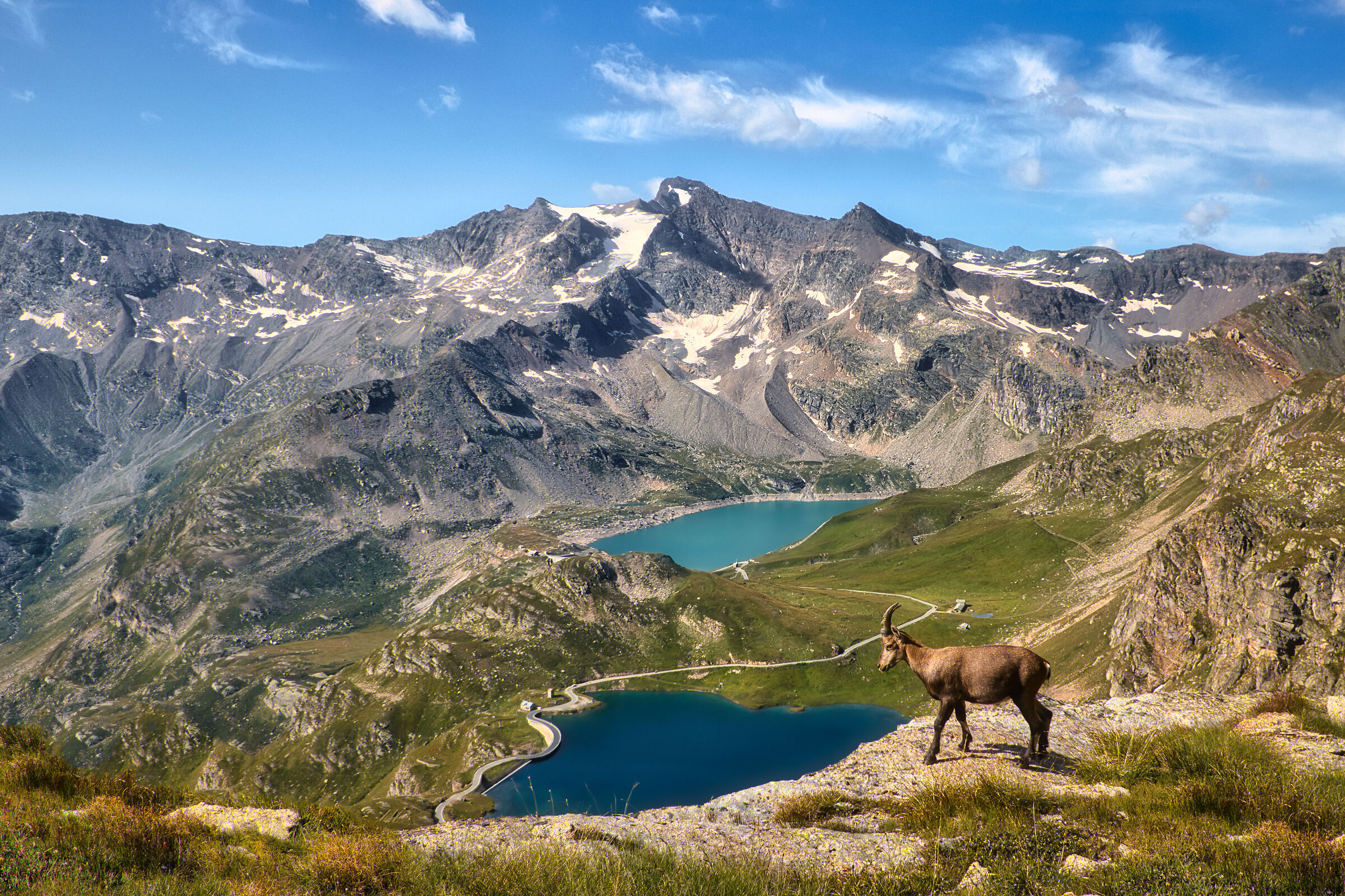 Il guardiano del Nivolet