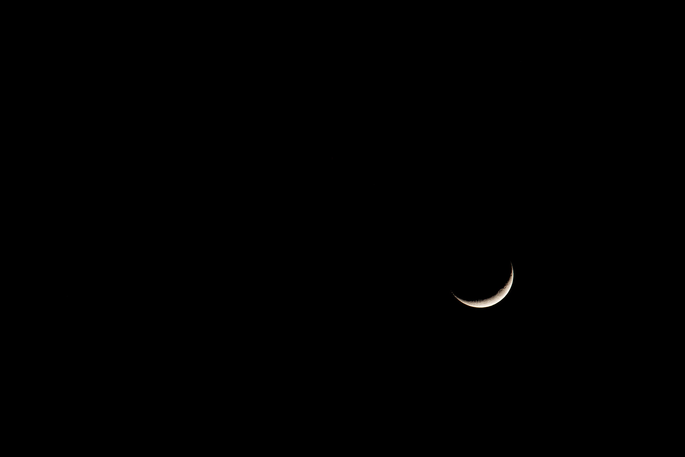 Untitled Photo