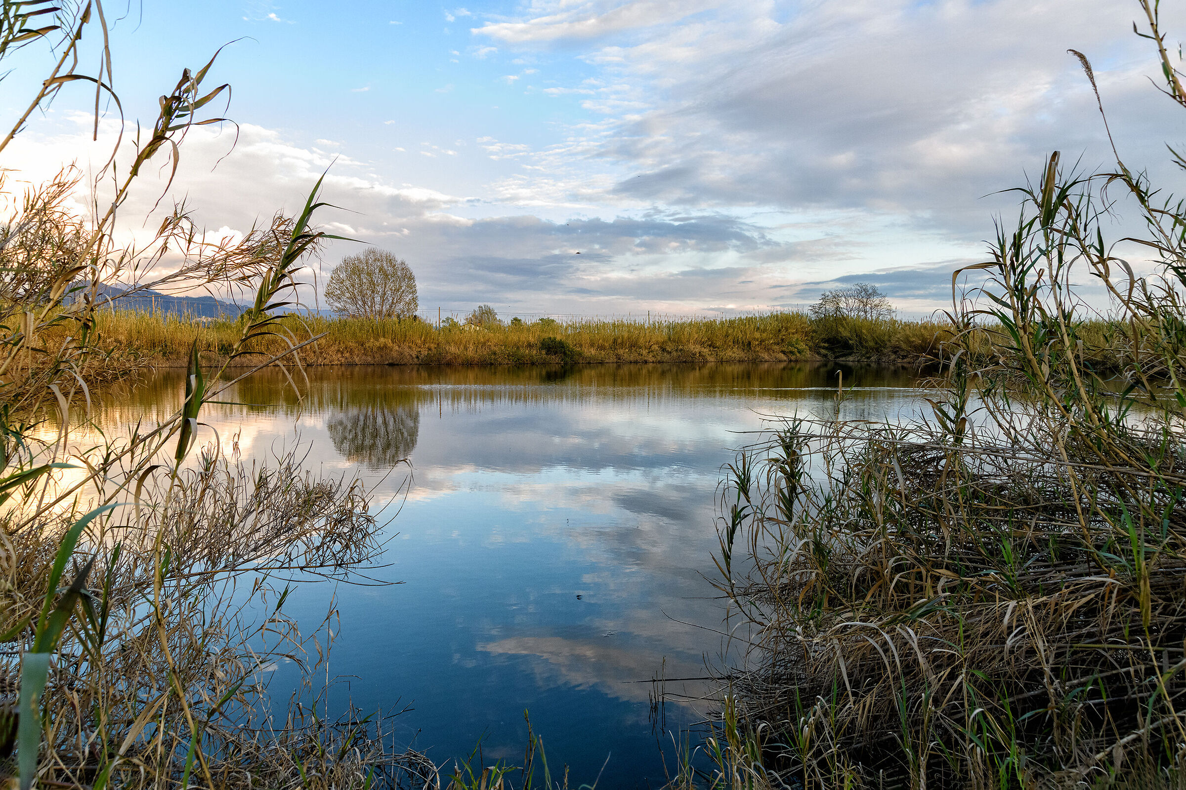 Parco naturale Bozi di Saudino Sarzana (sp)