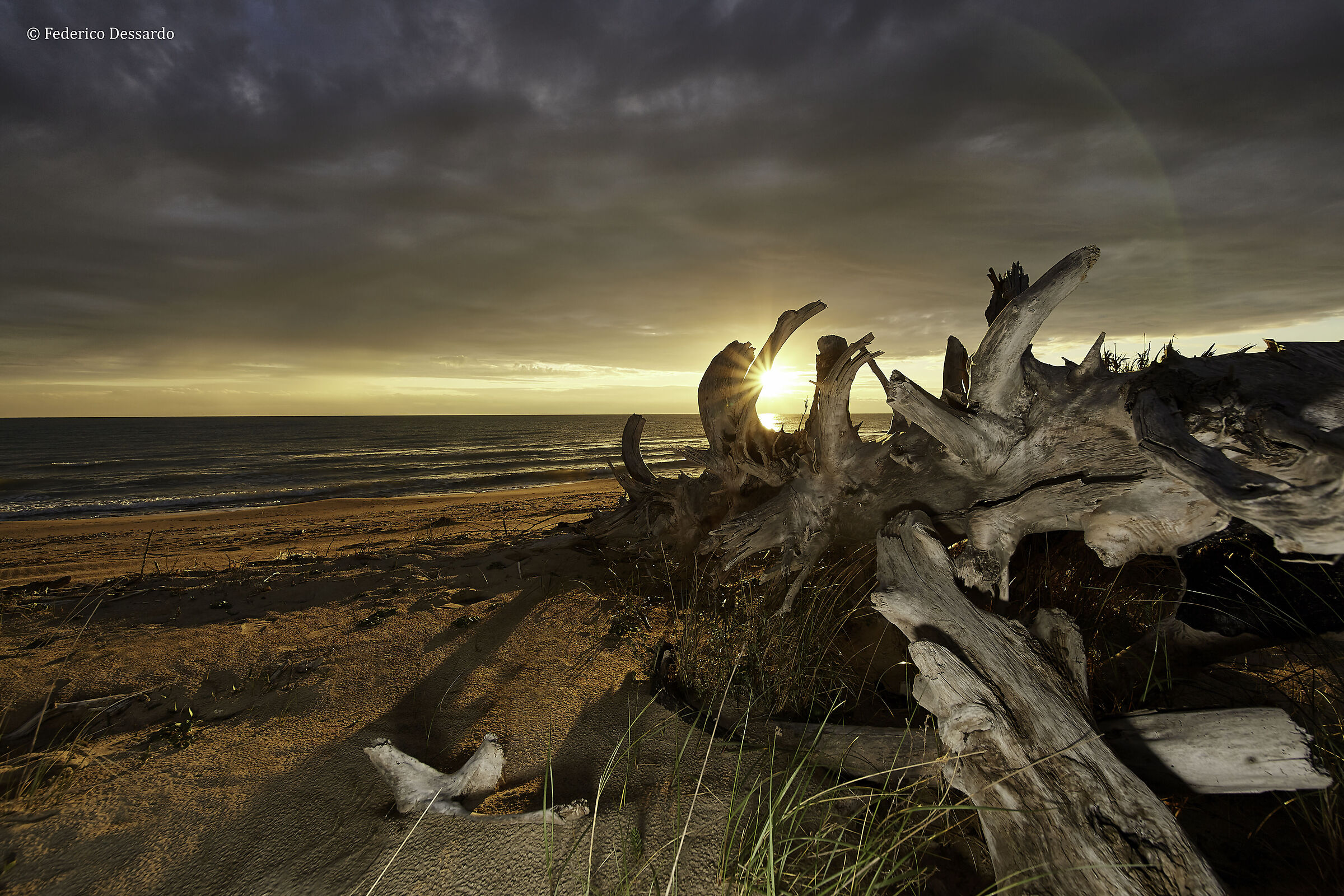 L'alba sulla costa Adriatica