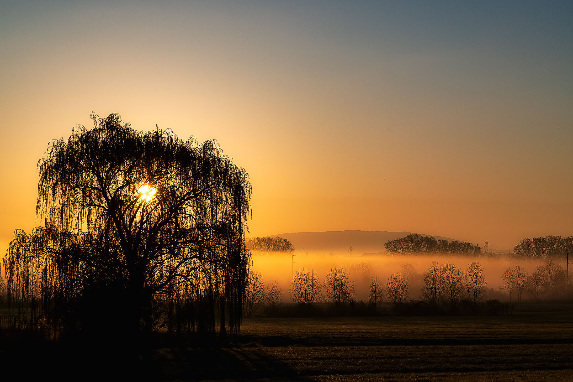 a sunrise.... crying