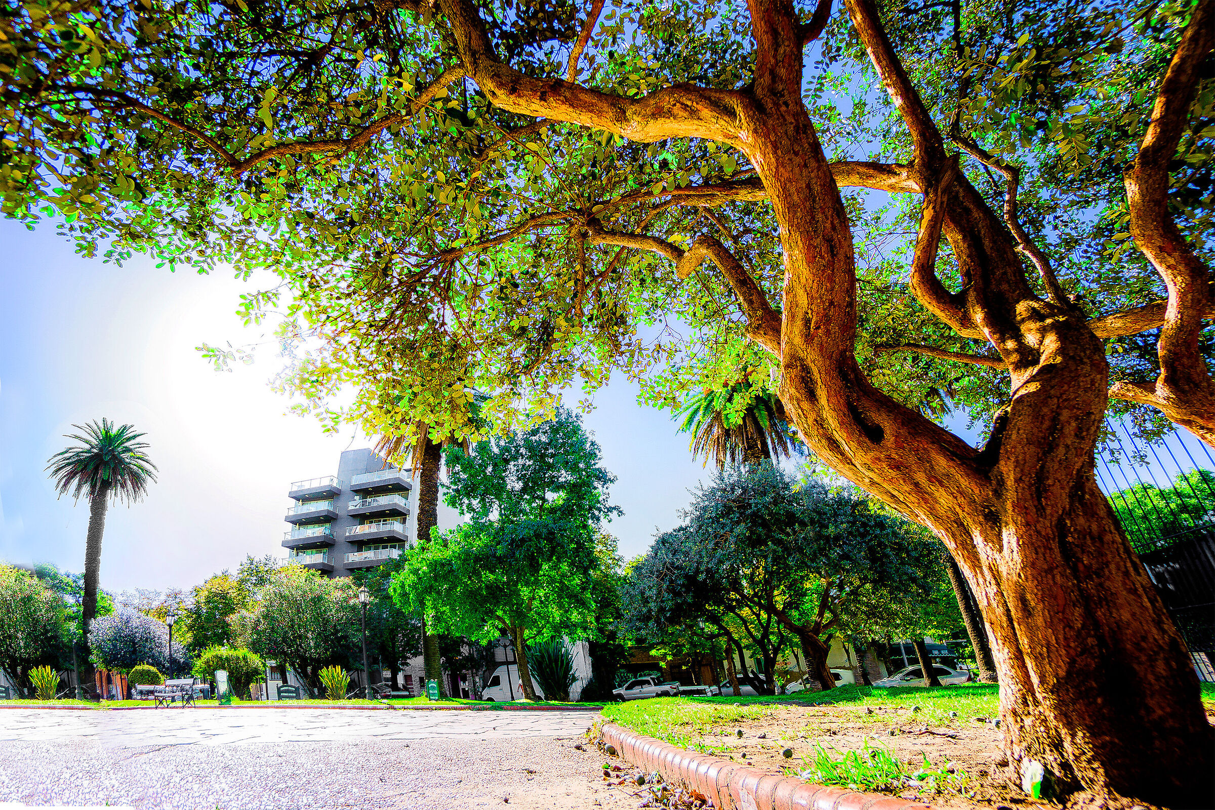 Amanecer en plaza Tigre