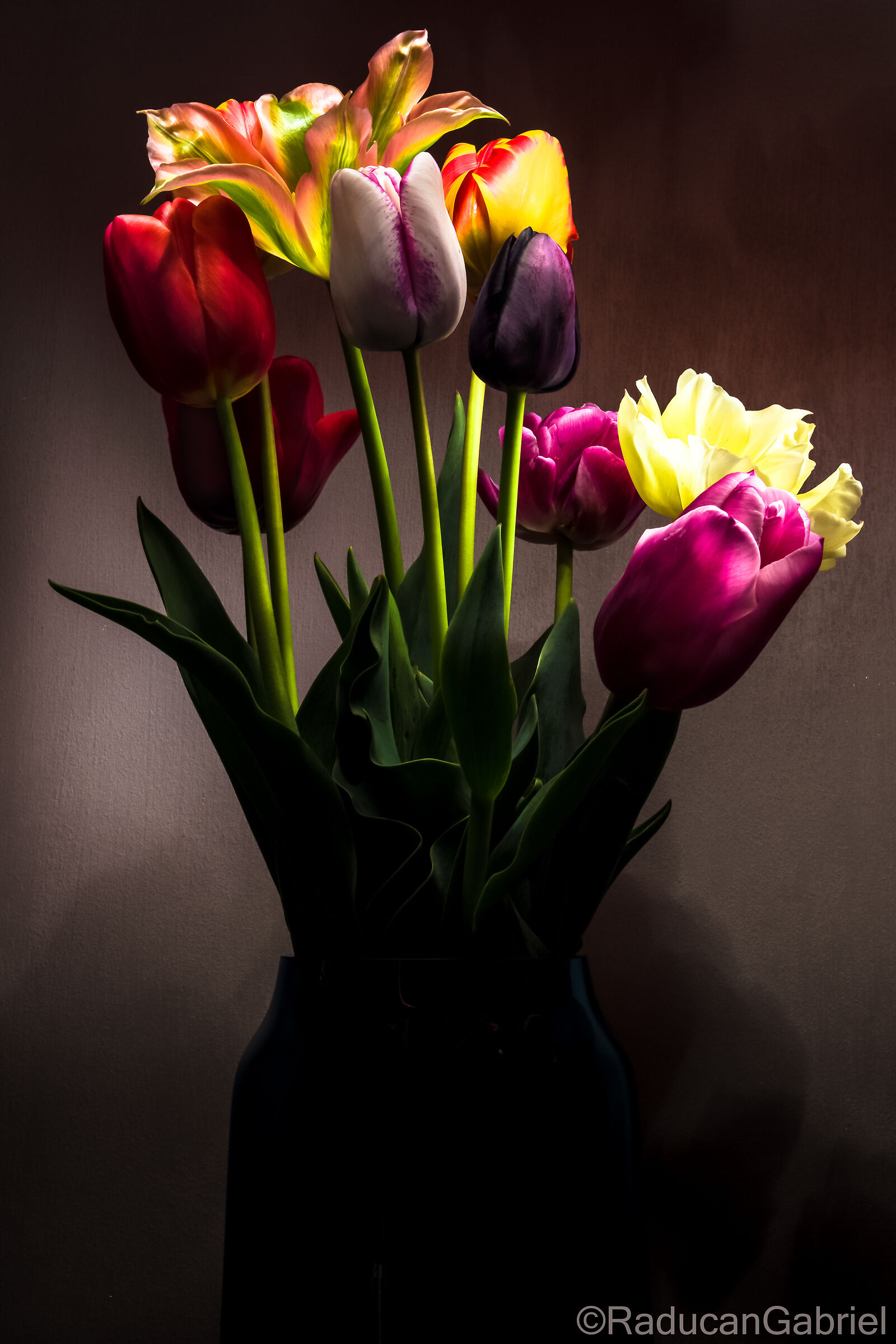 Tulips mix