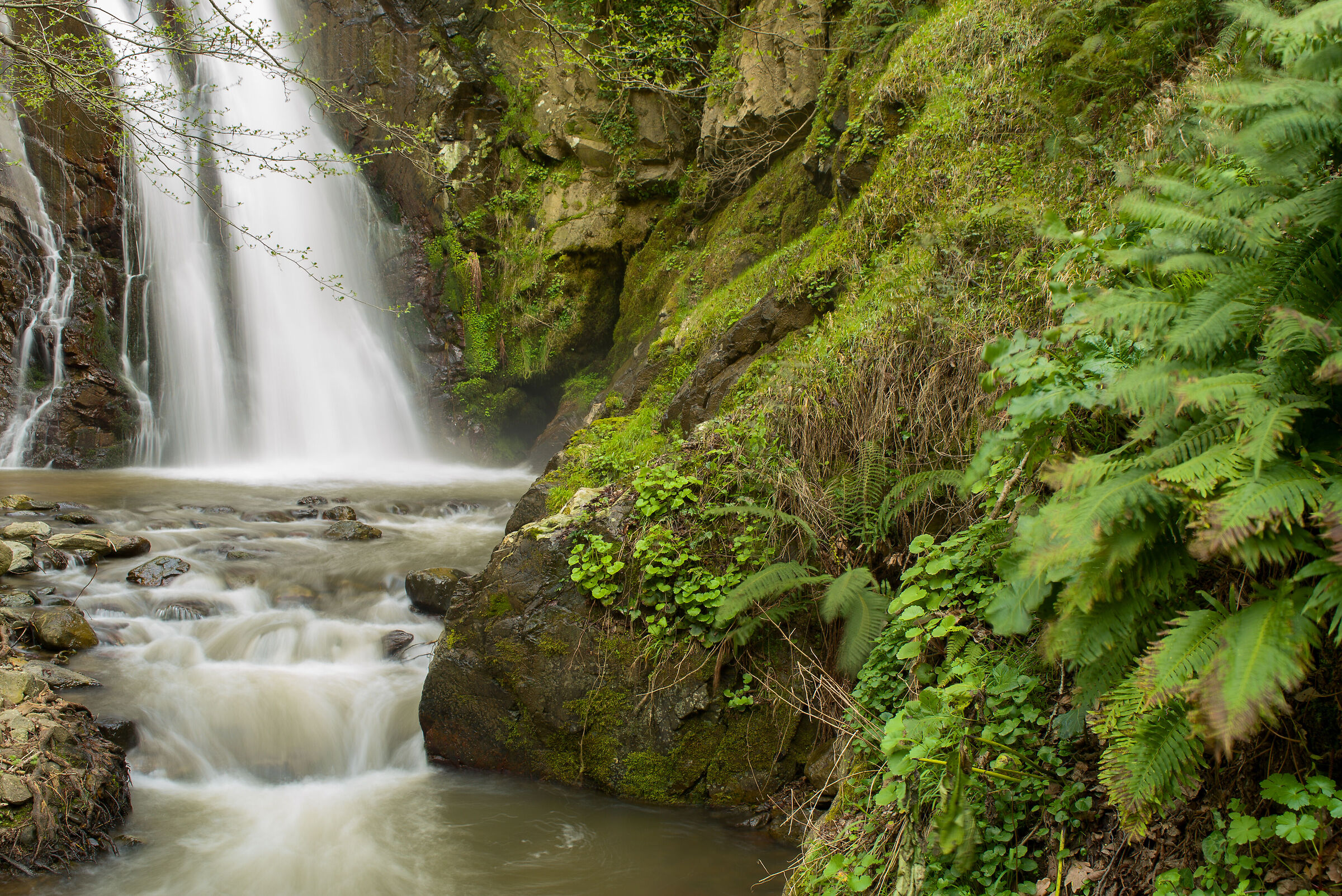 Cannavino Waterfall 1
