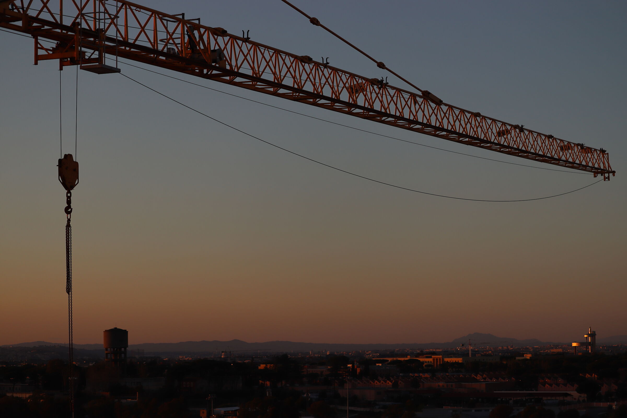 Crane
