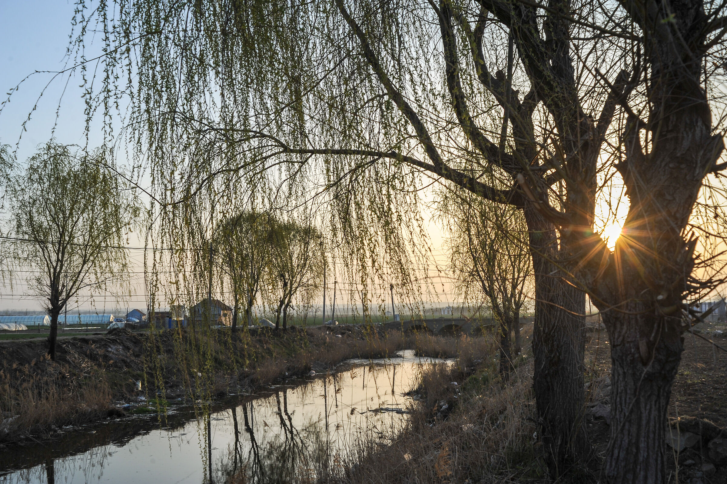 Sunset time at the river bank