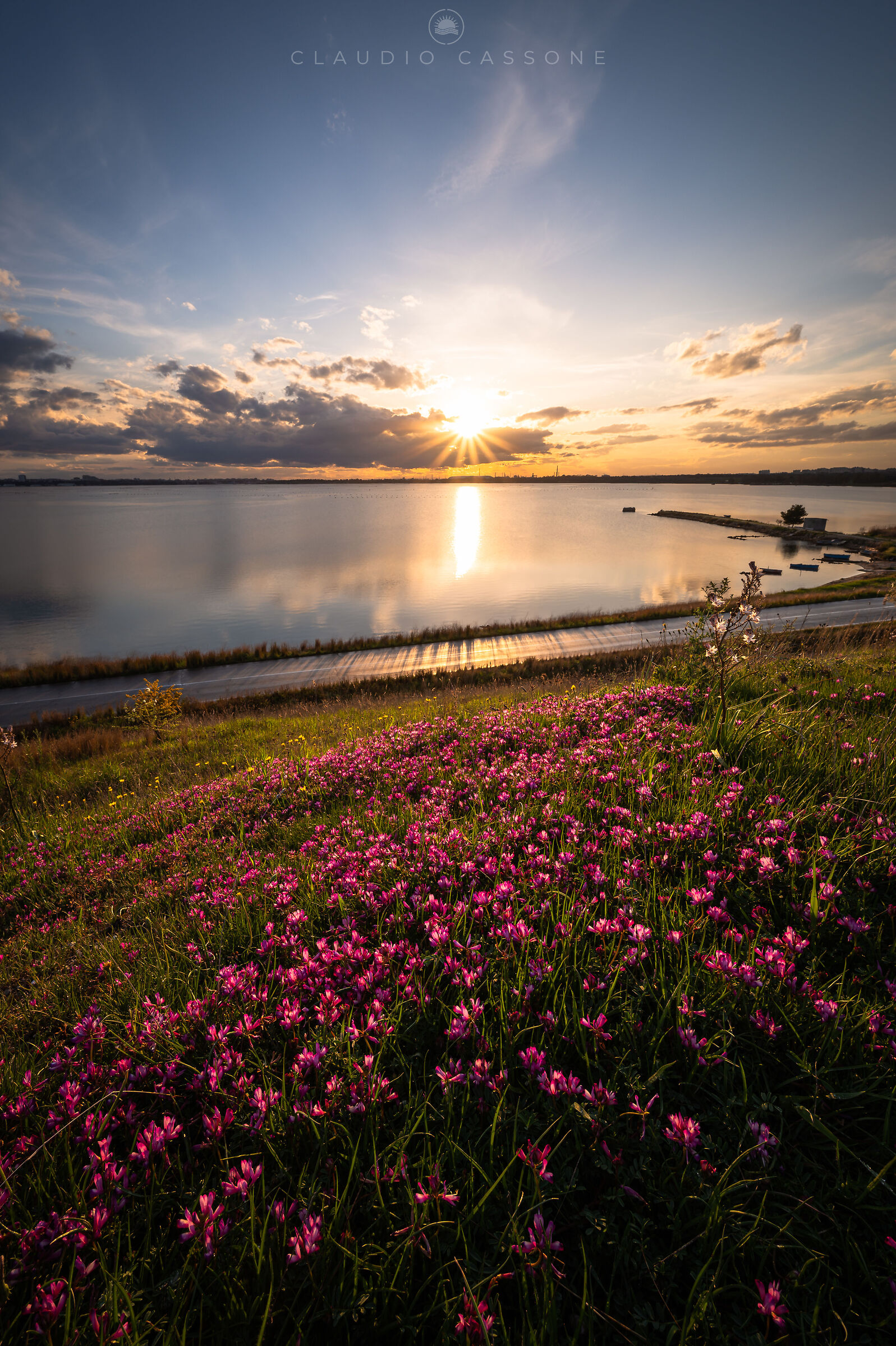 Spring blooms on the Mar Piccolo