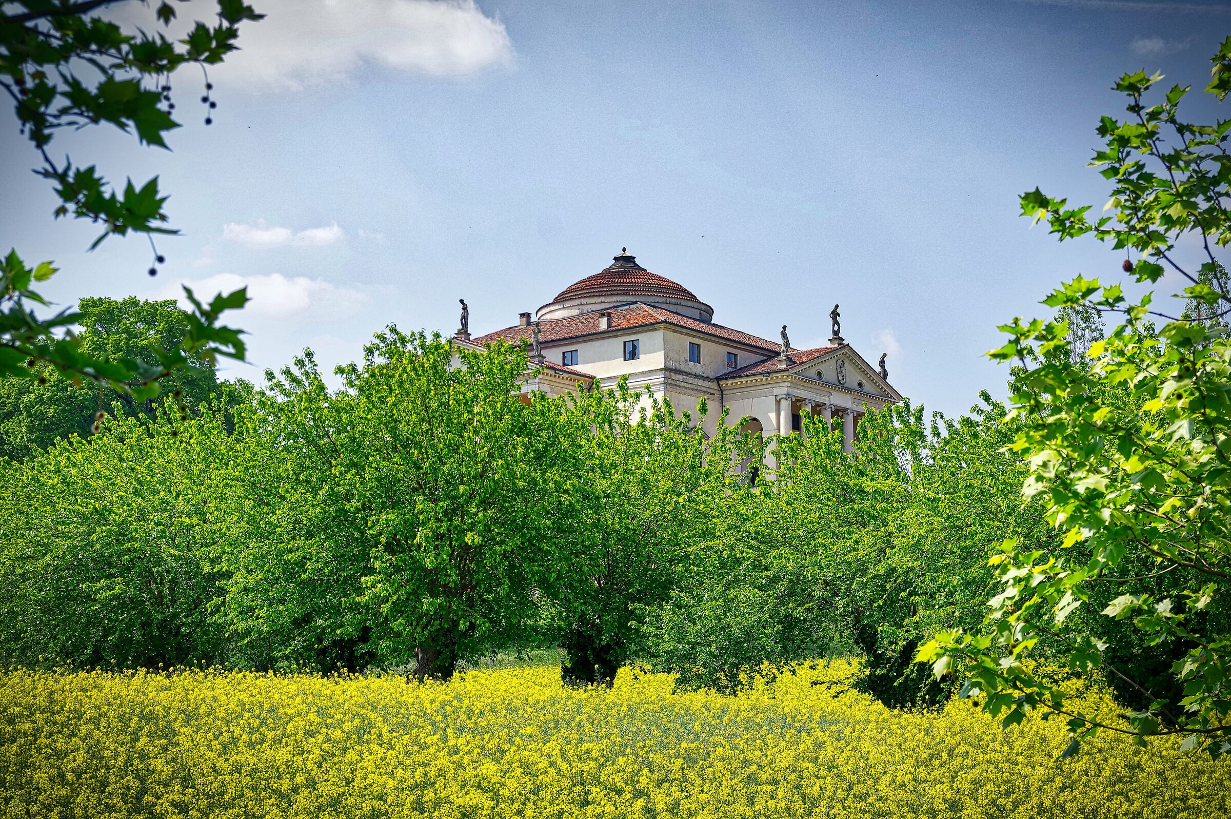 Villa La Rotonda in bloom