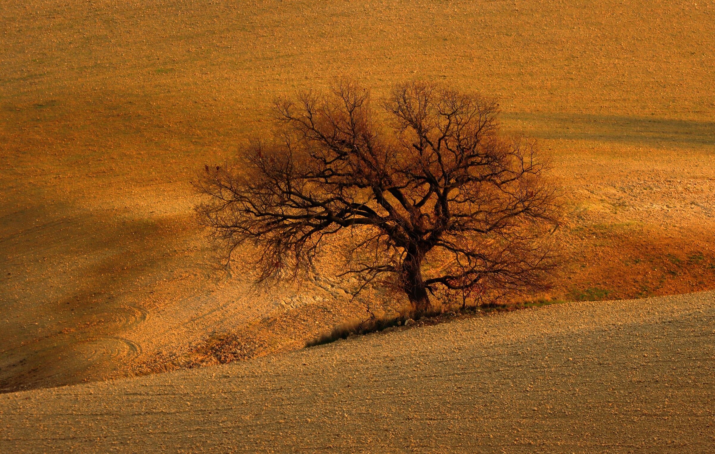 Resistere, resistere, resistere
