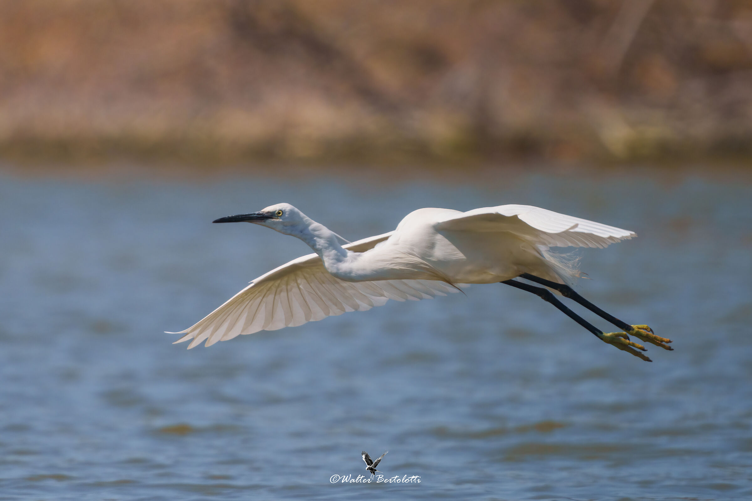flights to the oasis