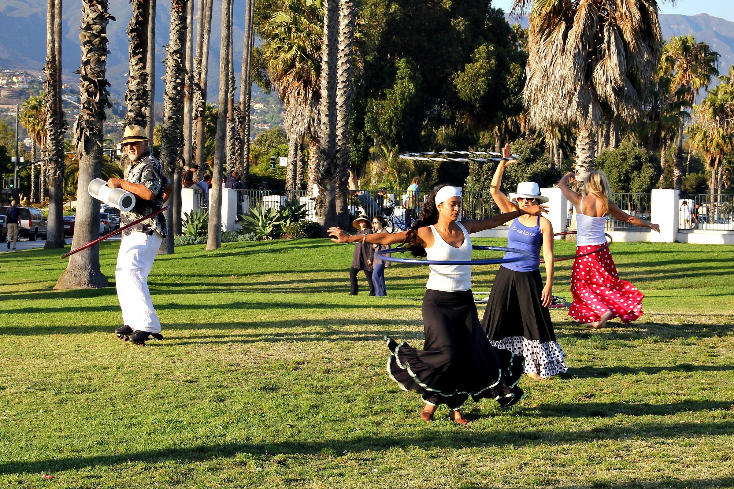 Mr Hulahoop and her ladies