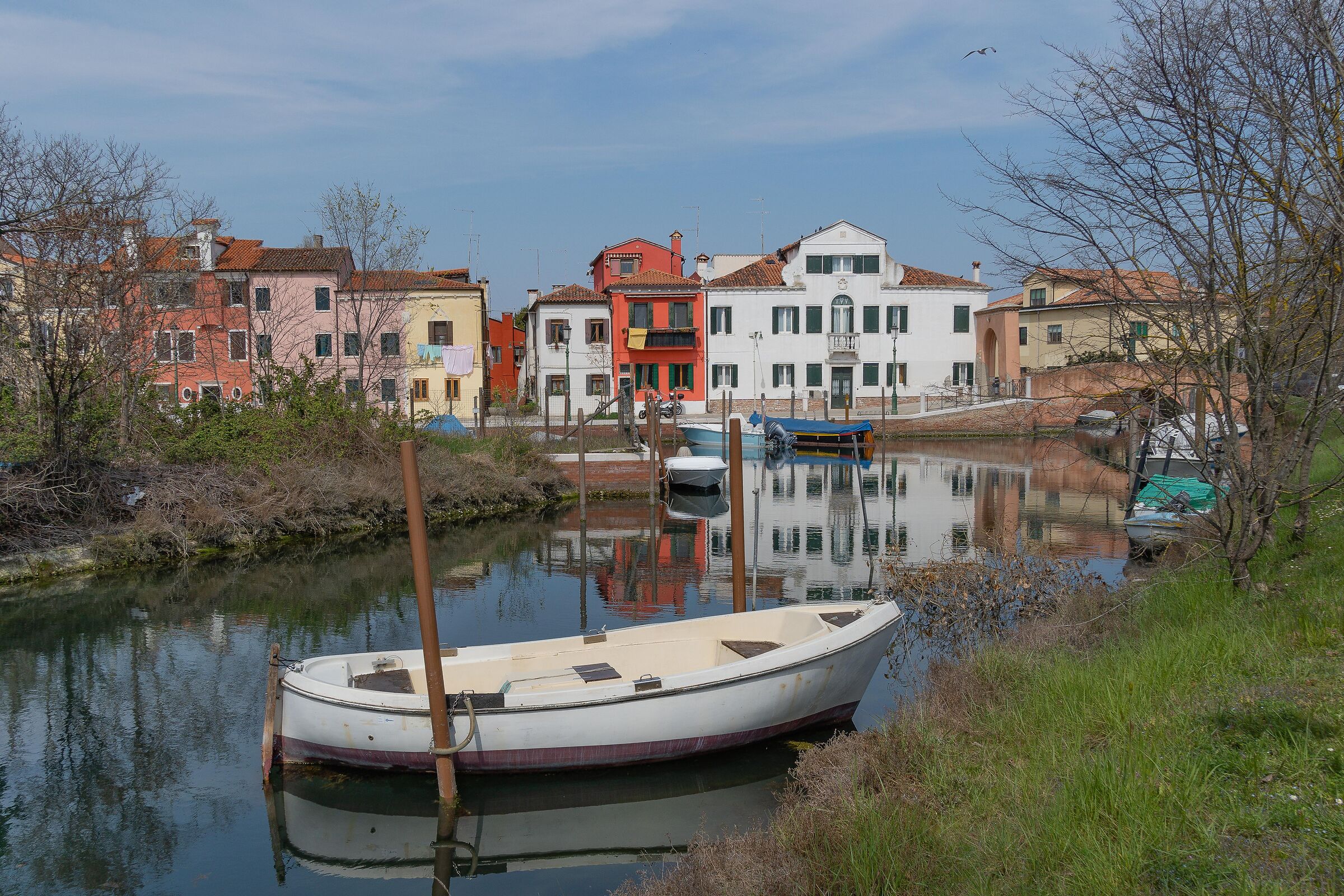 Alberoni - Square