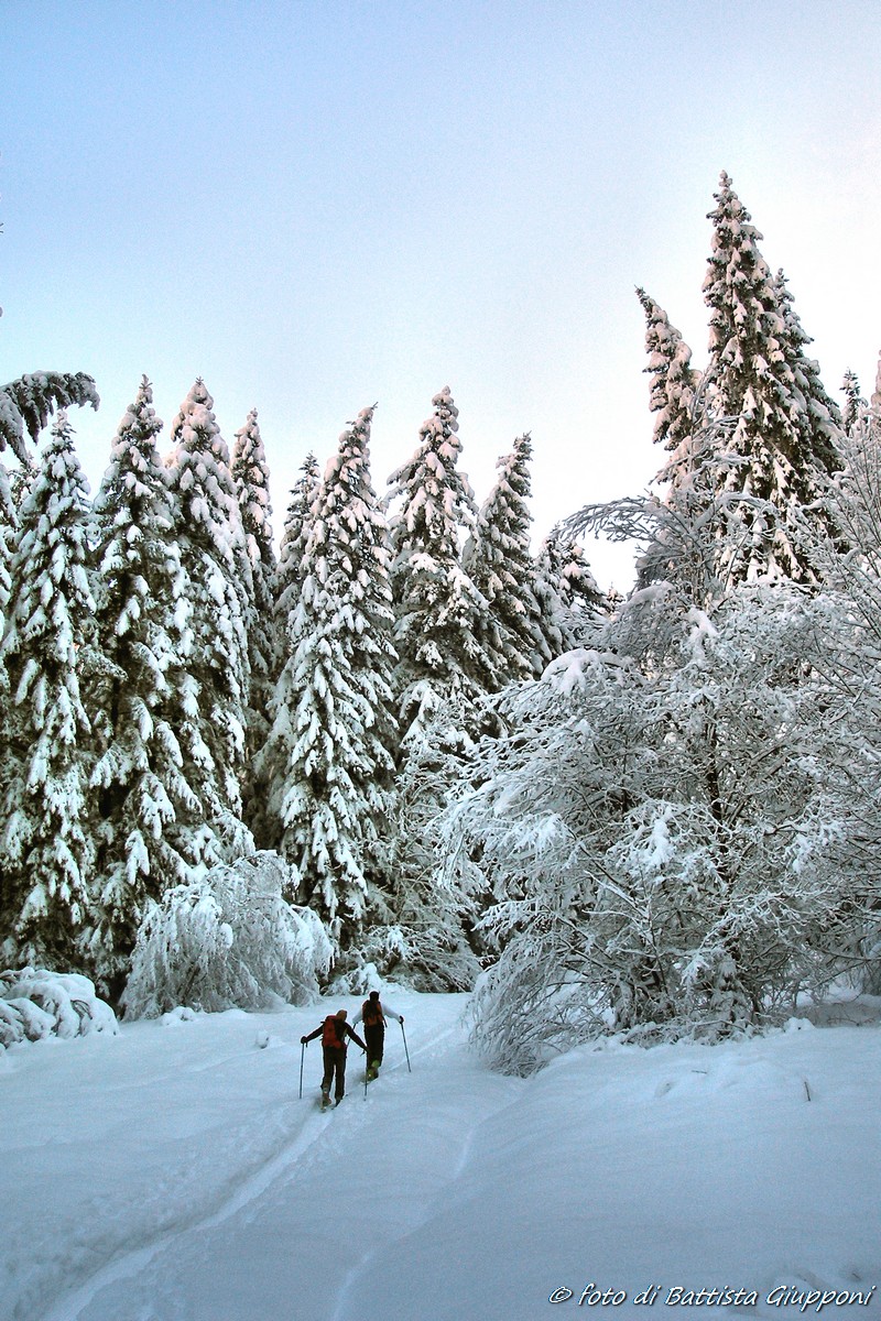 Scialpinismo sulle Orobie