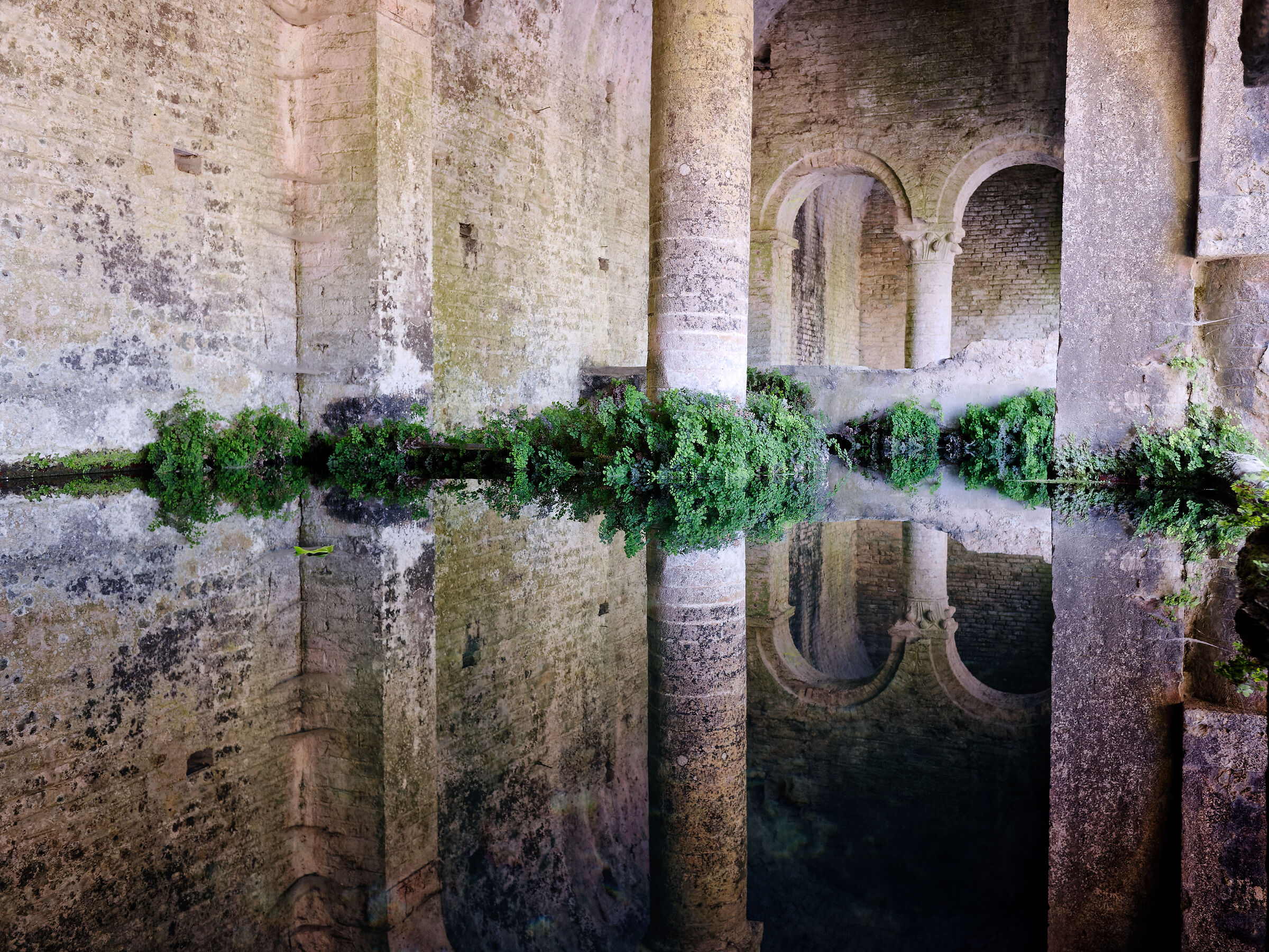 Reflections