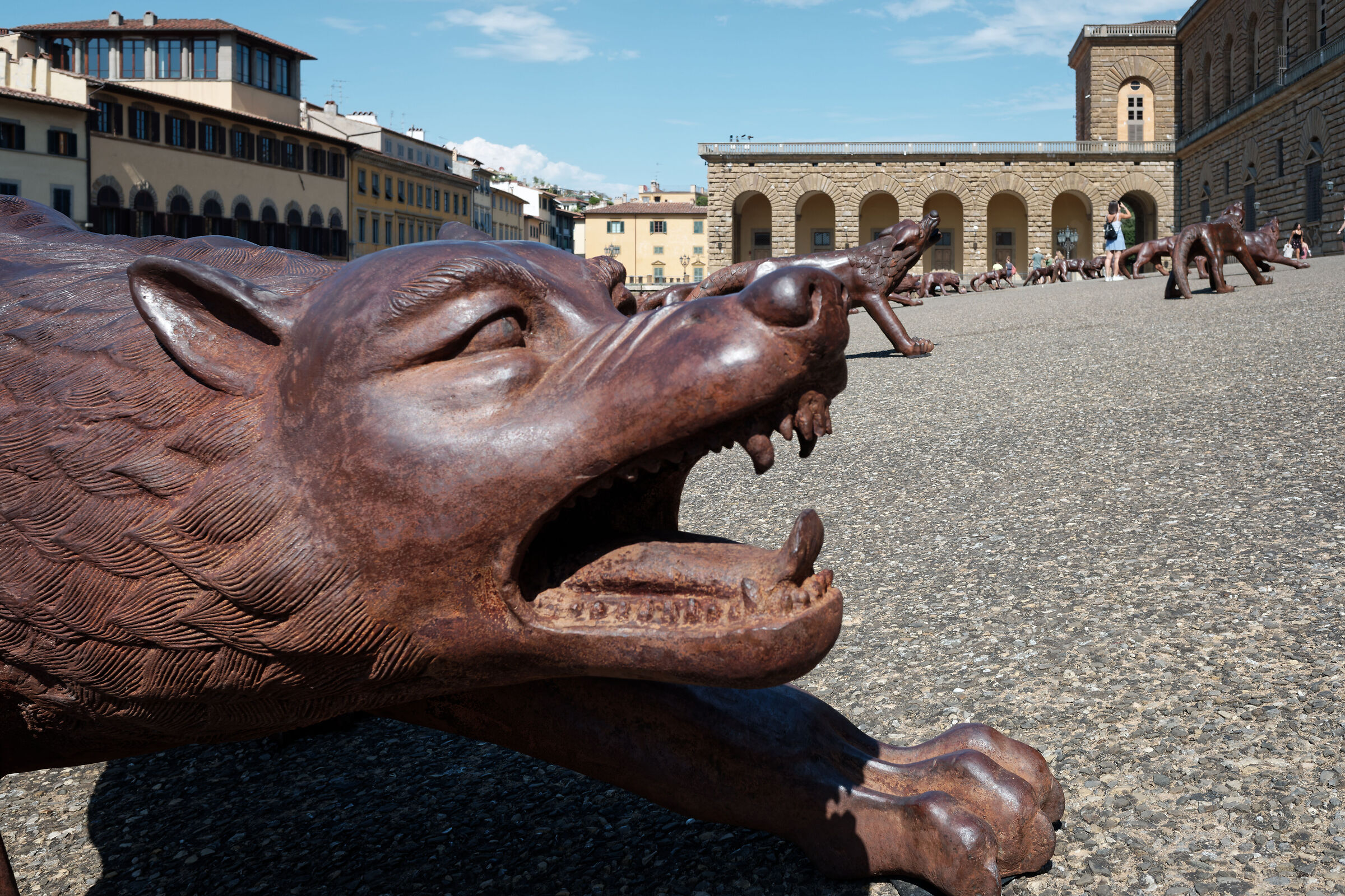 Lupi in Florence