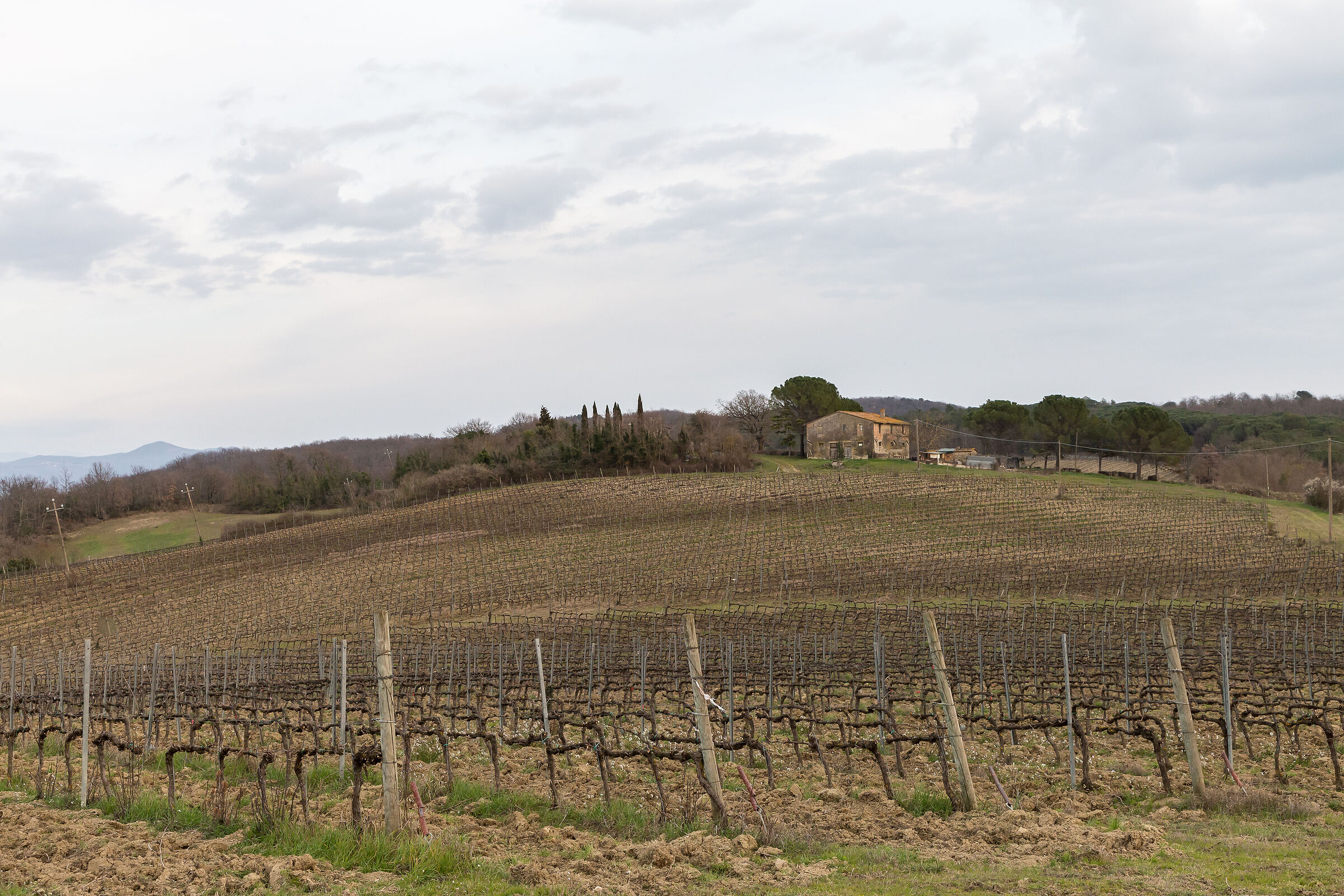 campagna di todi