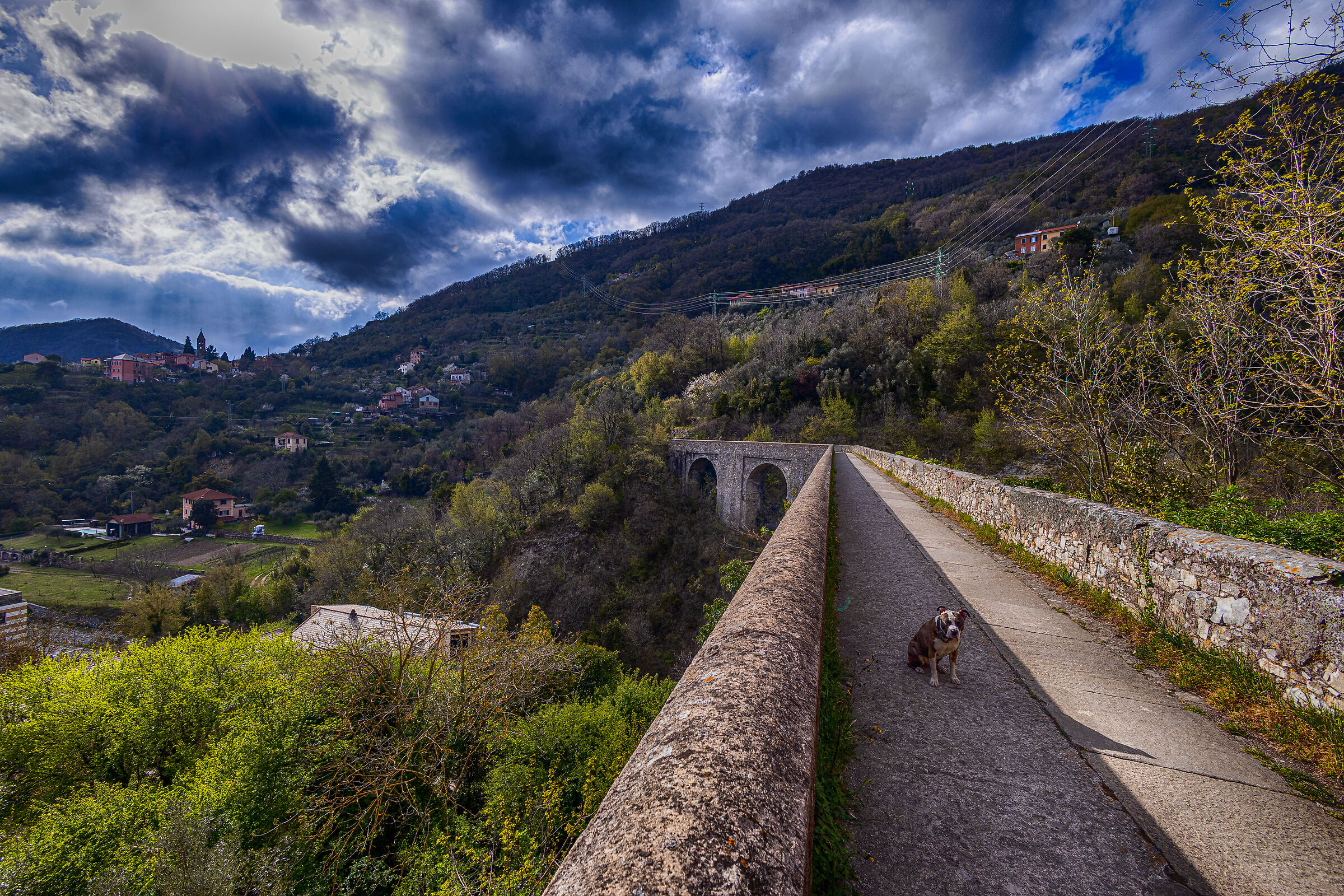 Antico acquedotto, ponte del Rio Torbido, Genova.