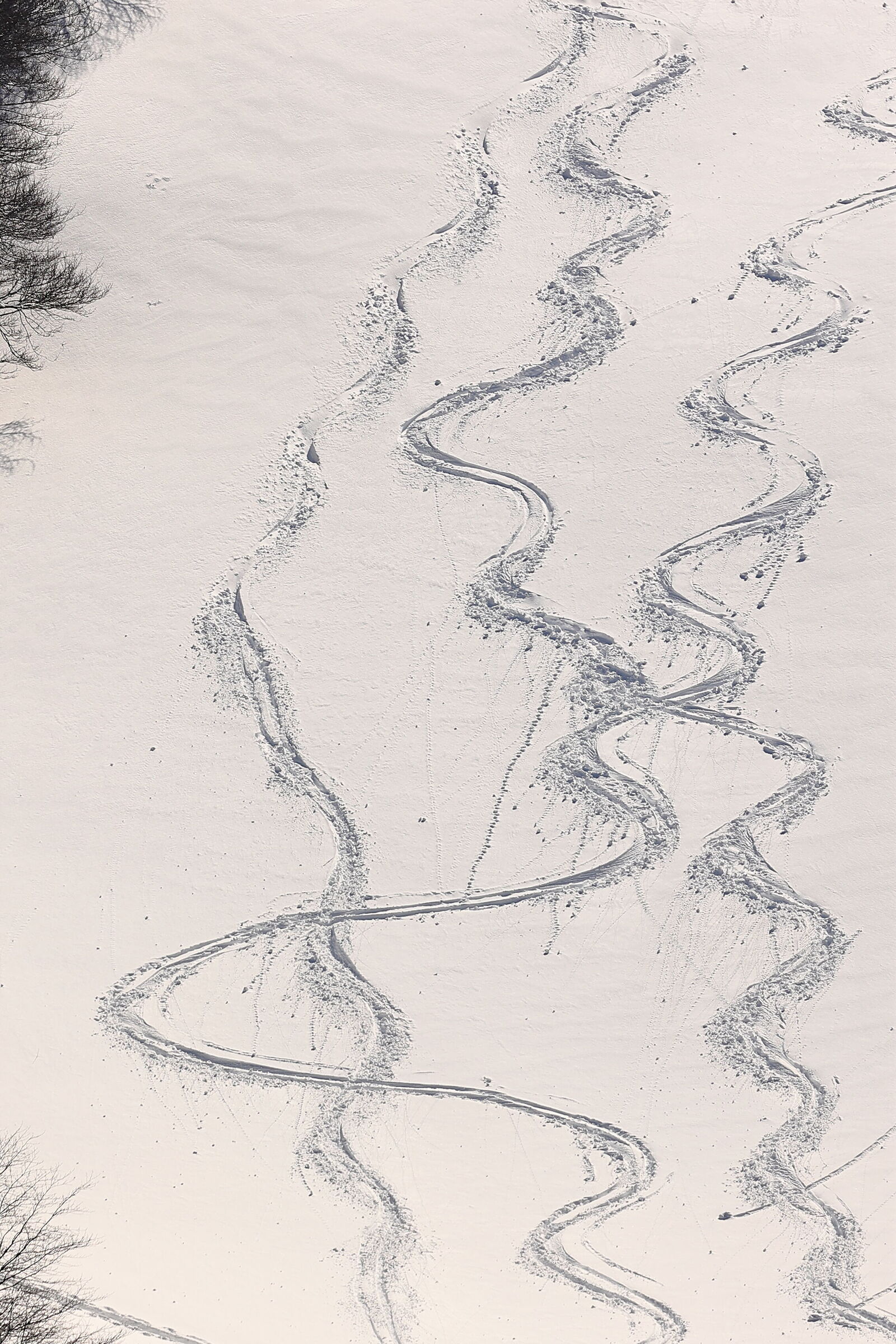 Fuoripista primaverile