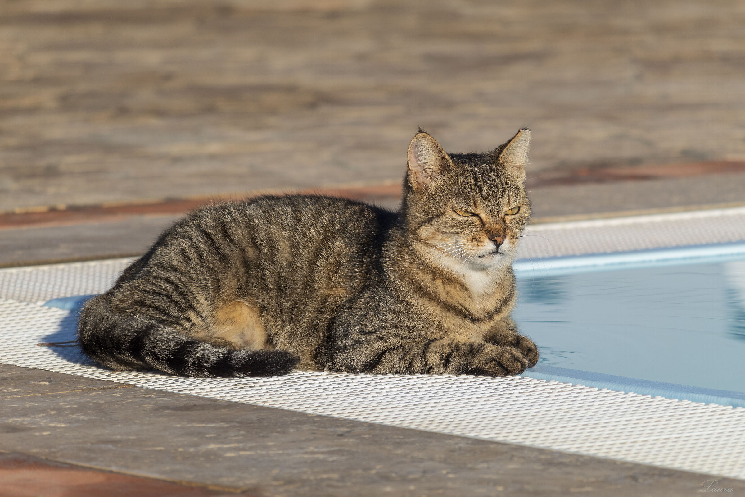 I think I disturbed him