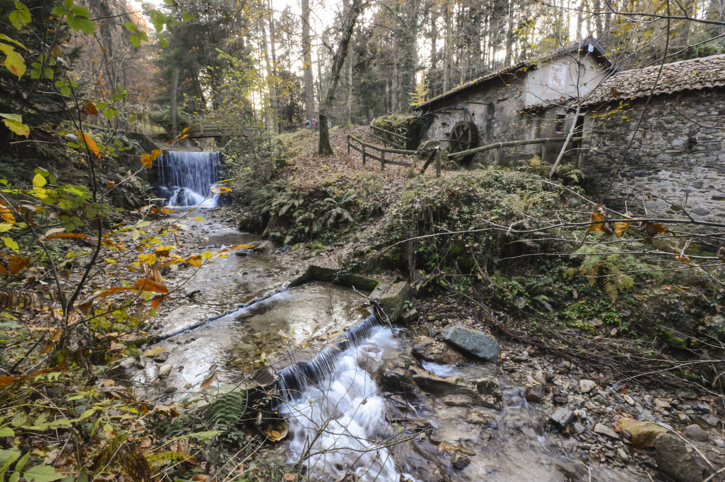 Parco dell'Argentera