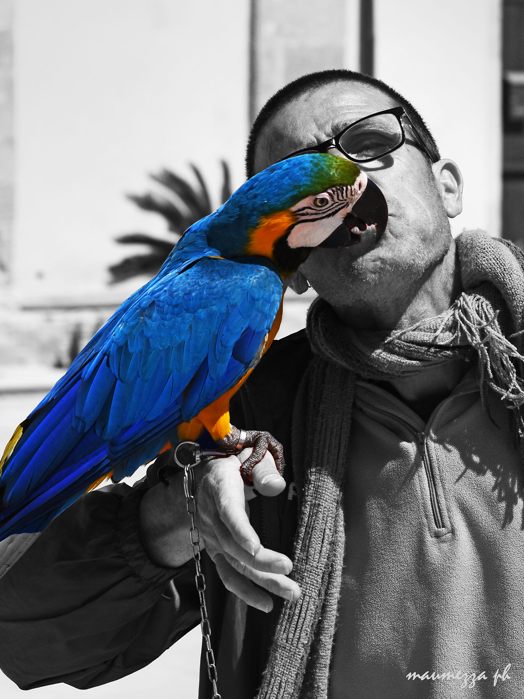 Pappakiss... l'amore è ovunque