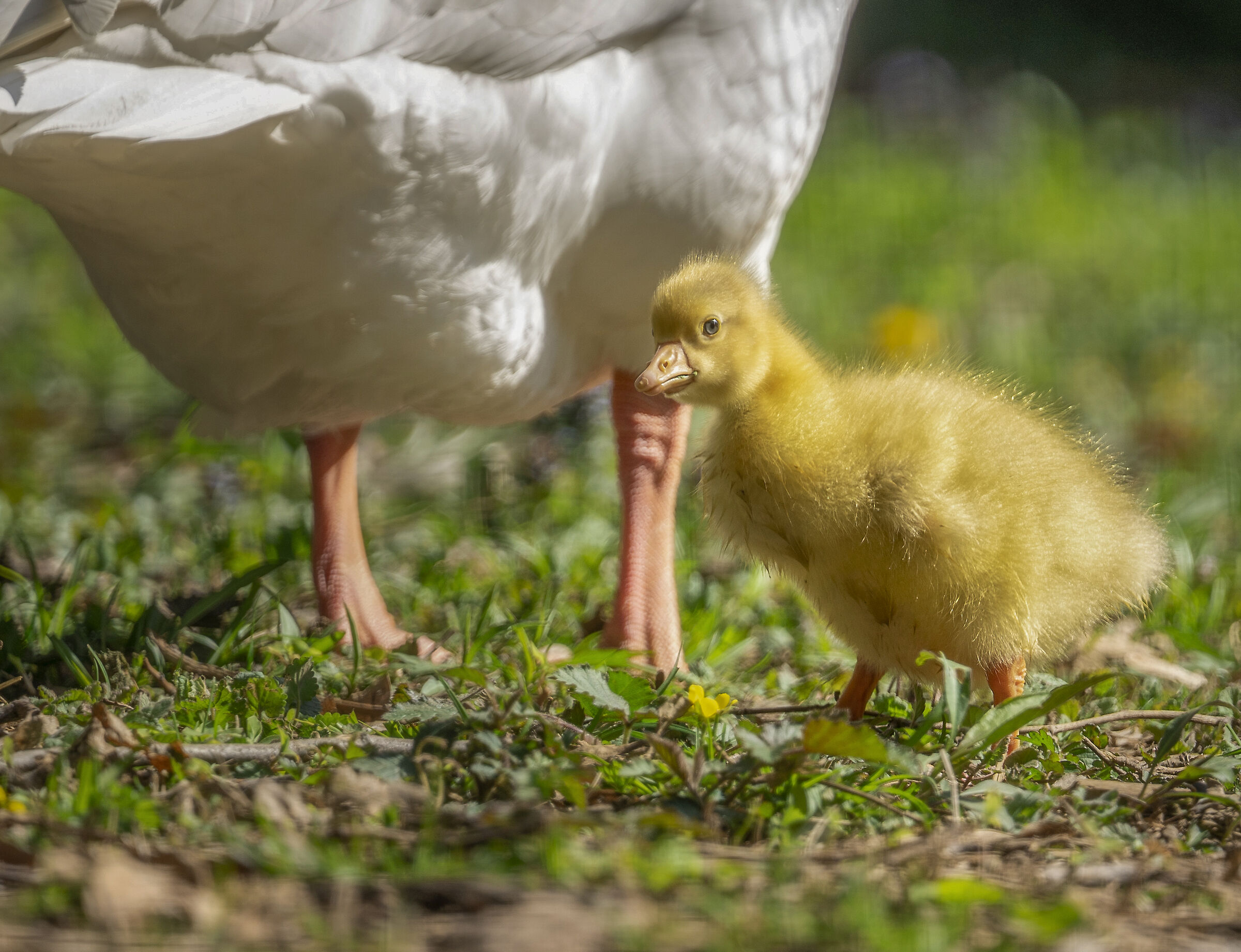 Baby and mom