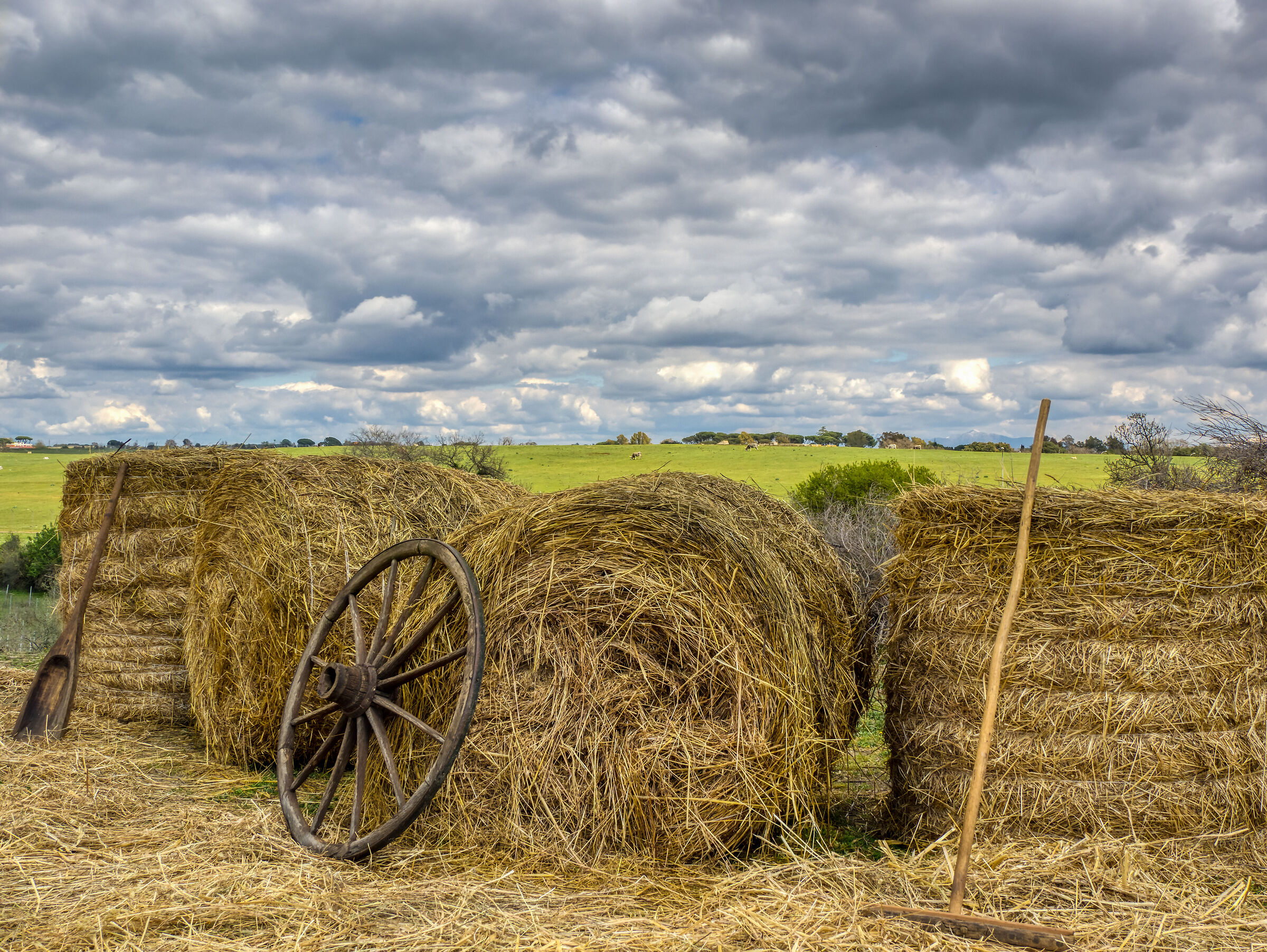 Una domenica in campagna