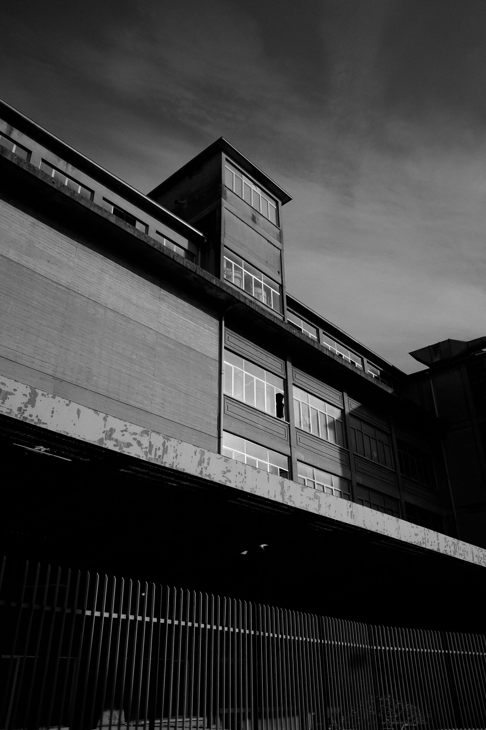 Urban monsters