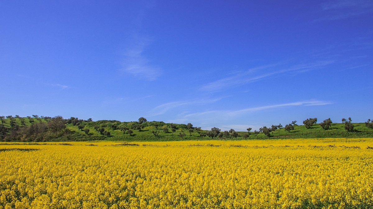 Via della Solfarata Pomezia