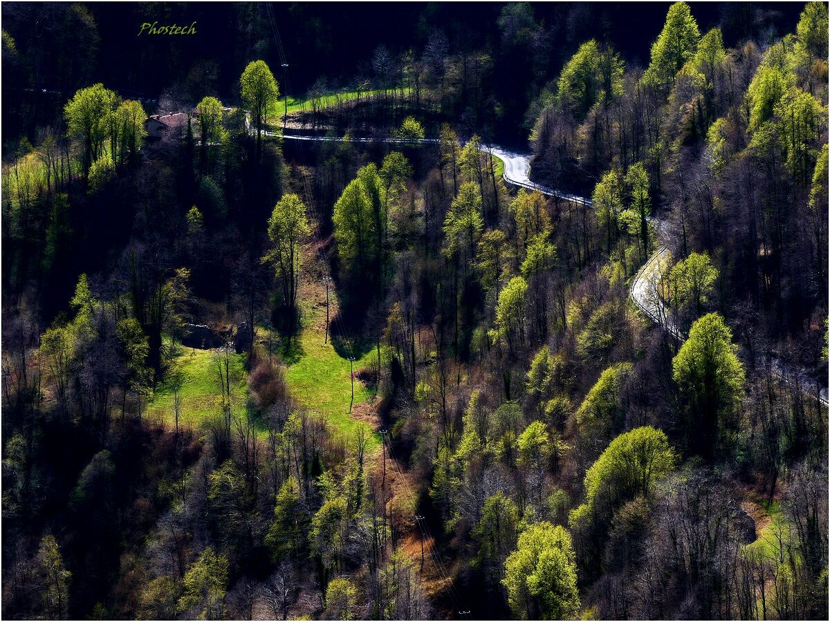 Macchie di primavera