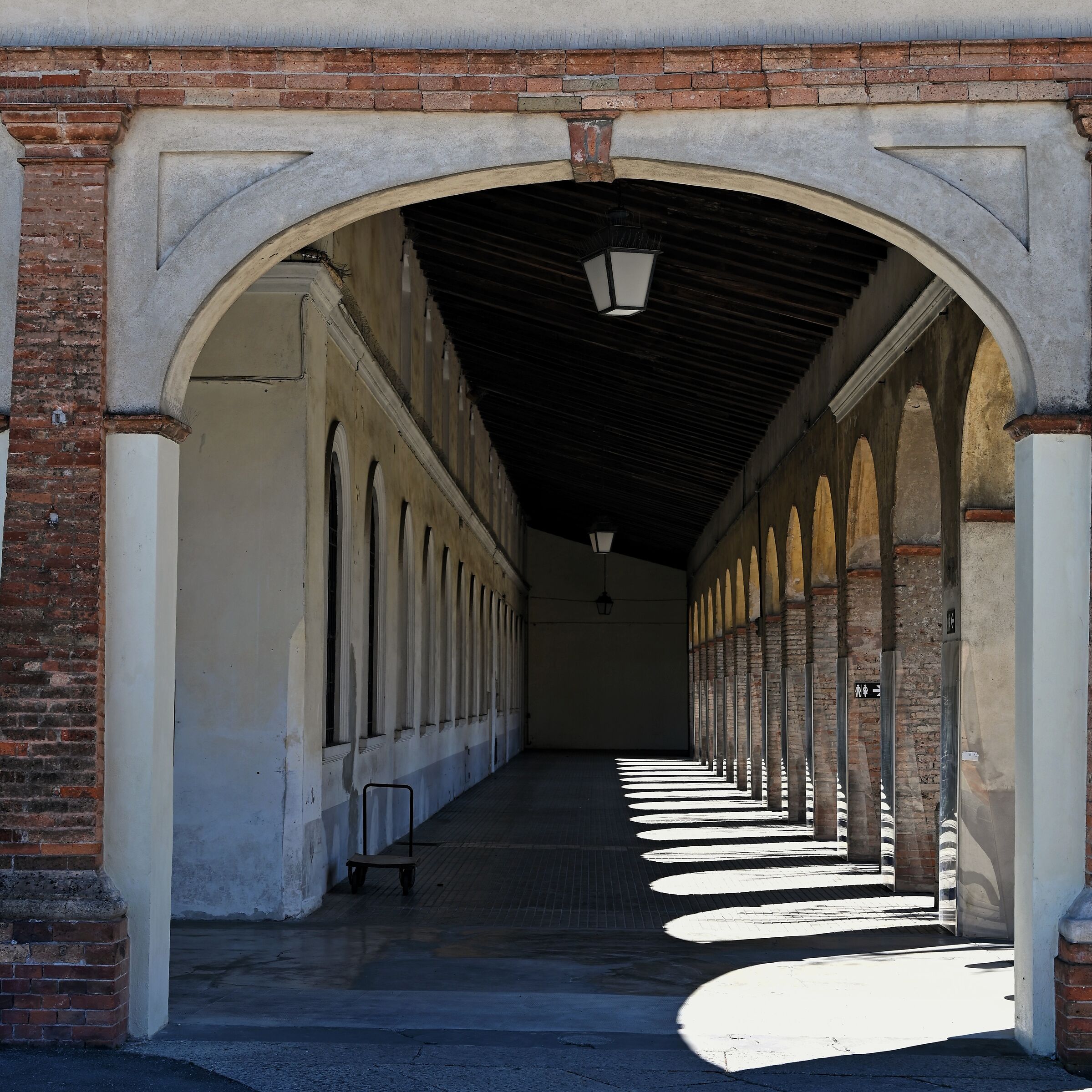 Untitled Photo