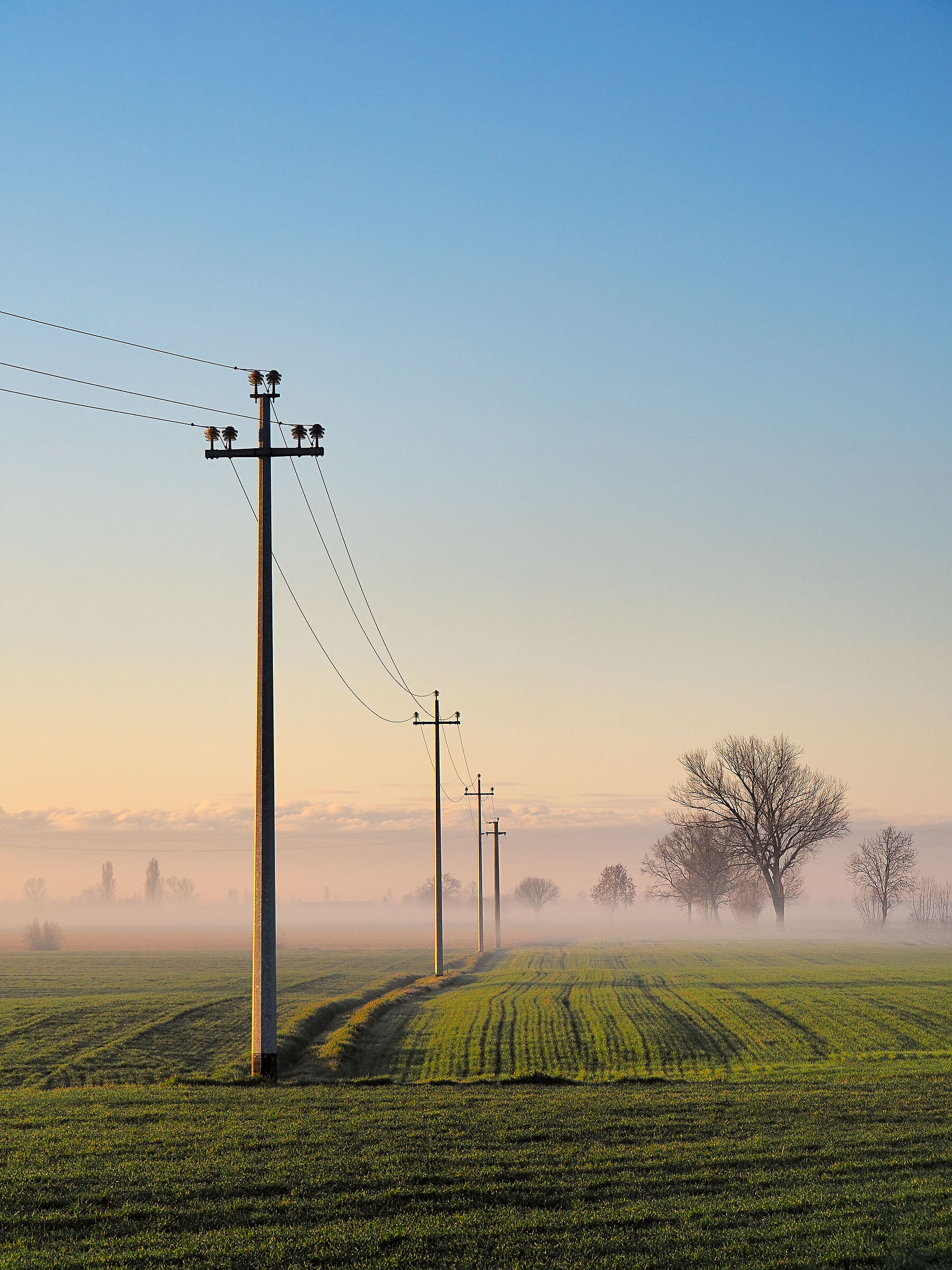 sunlight and electric light