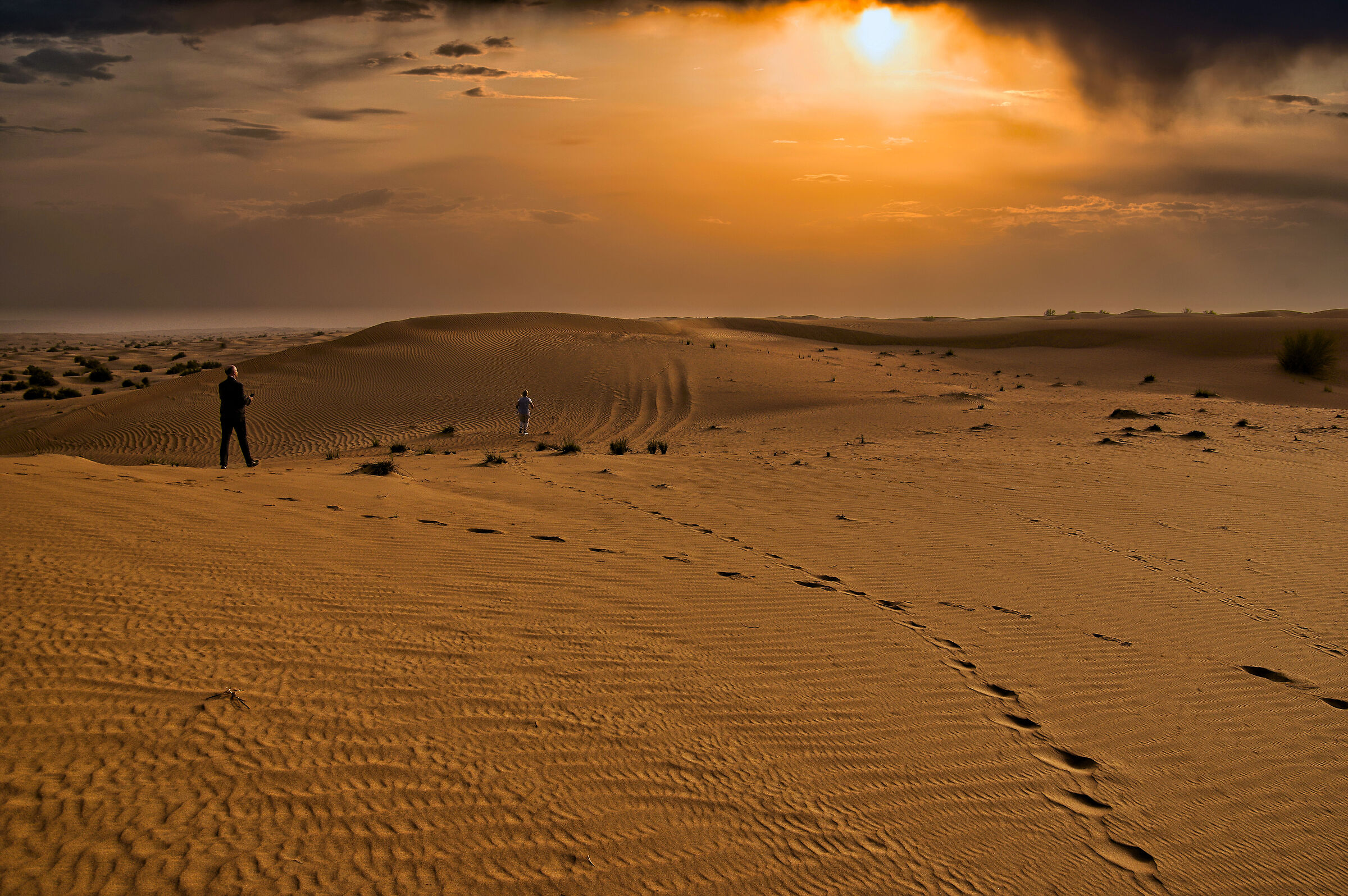 Desert with unlikely sunset