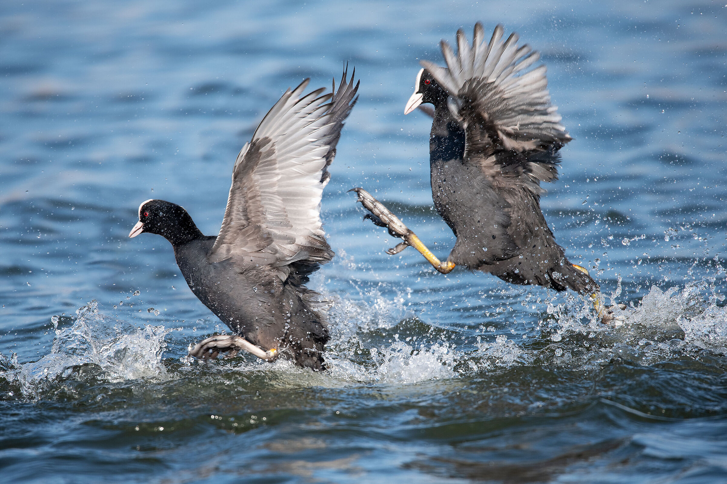 Riunione di condominio