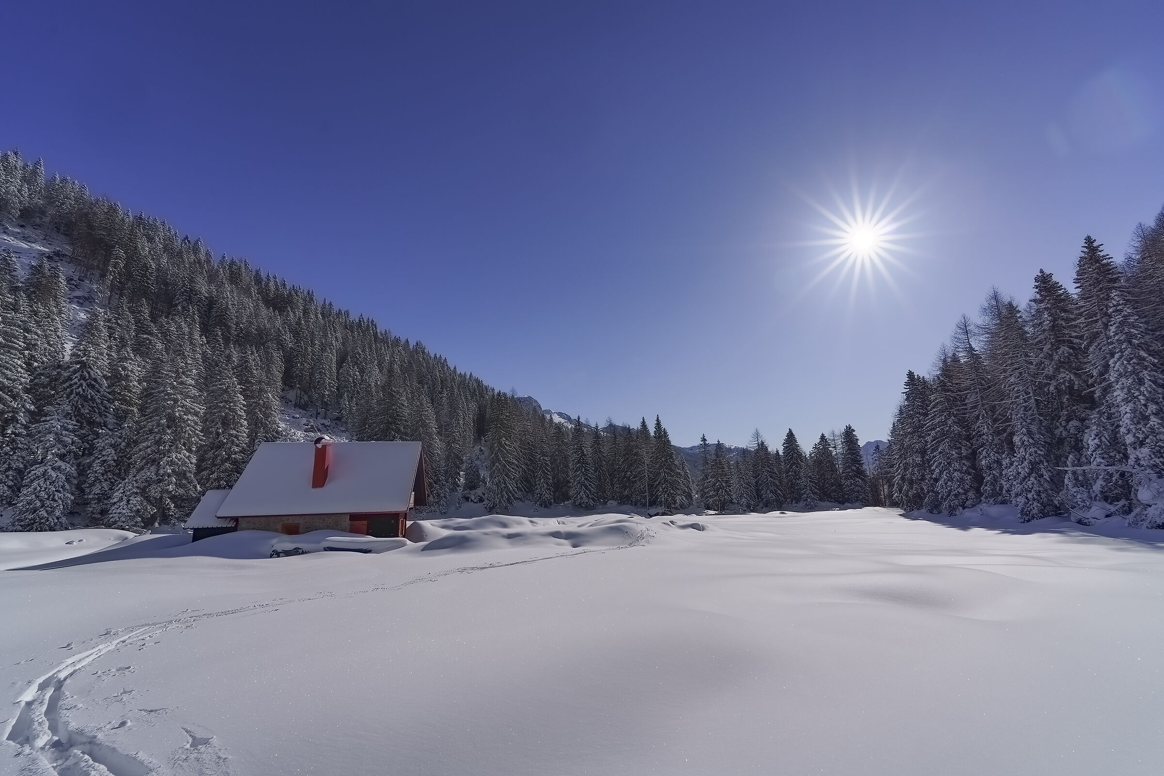 Hut Vinkel Border Carnic Alps